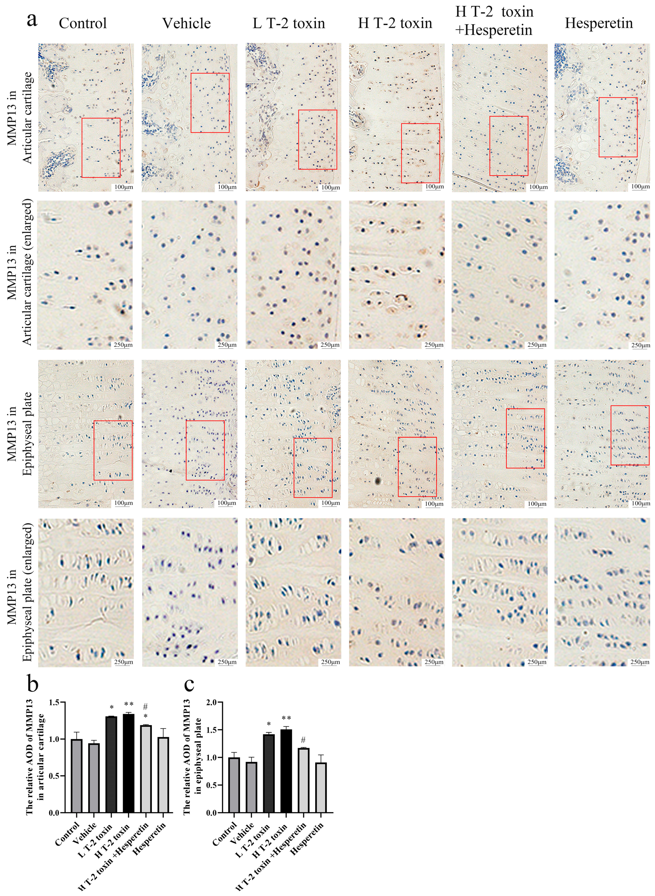 Nutrients 16 03107 g004