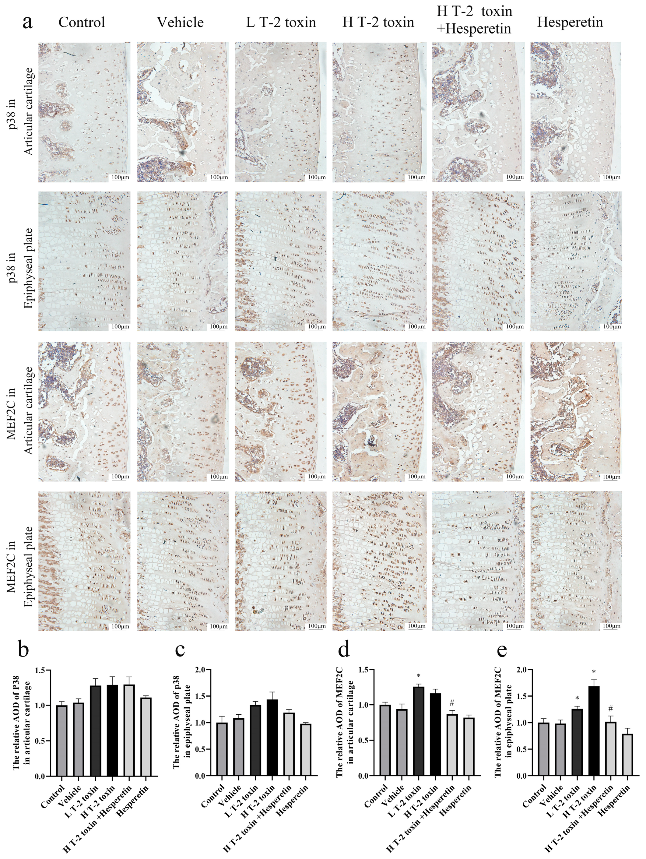 Nutrients 16 03107 g005