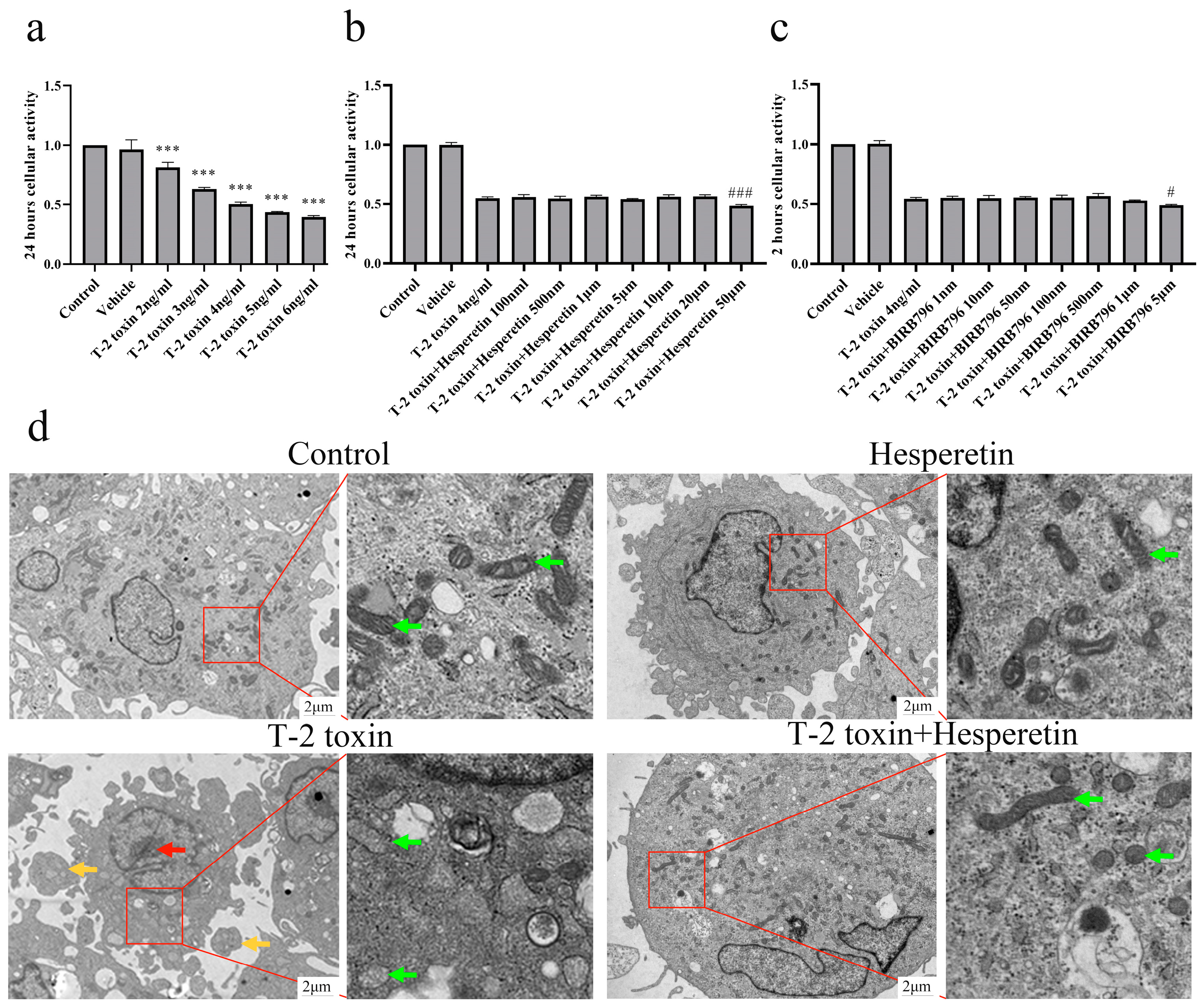 Nutrients 16 03107 g006
