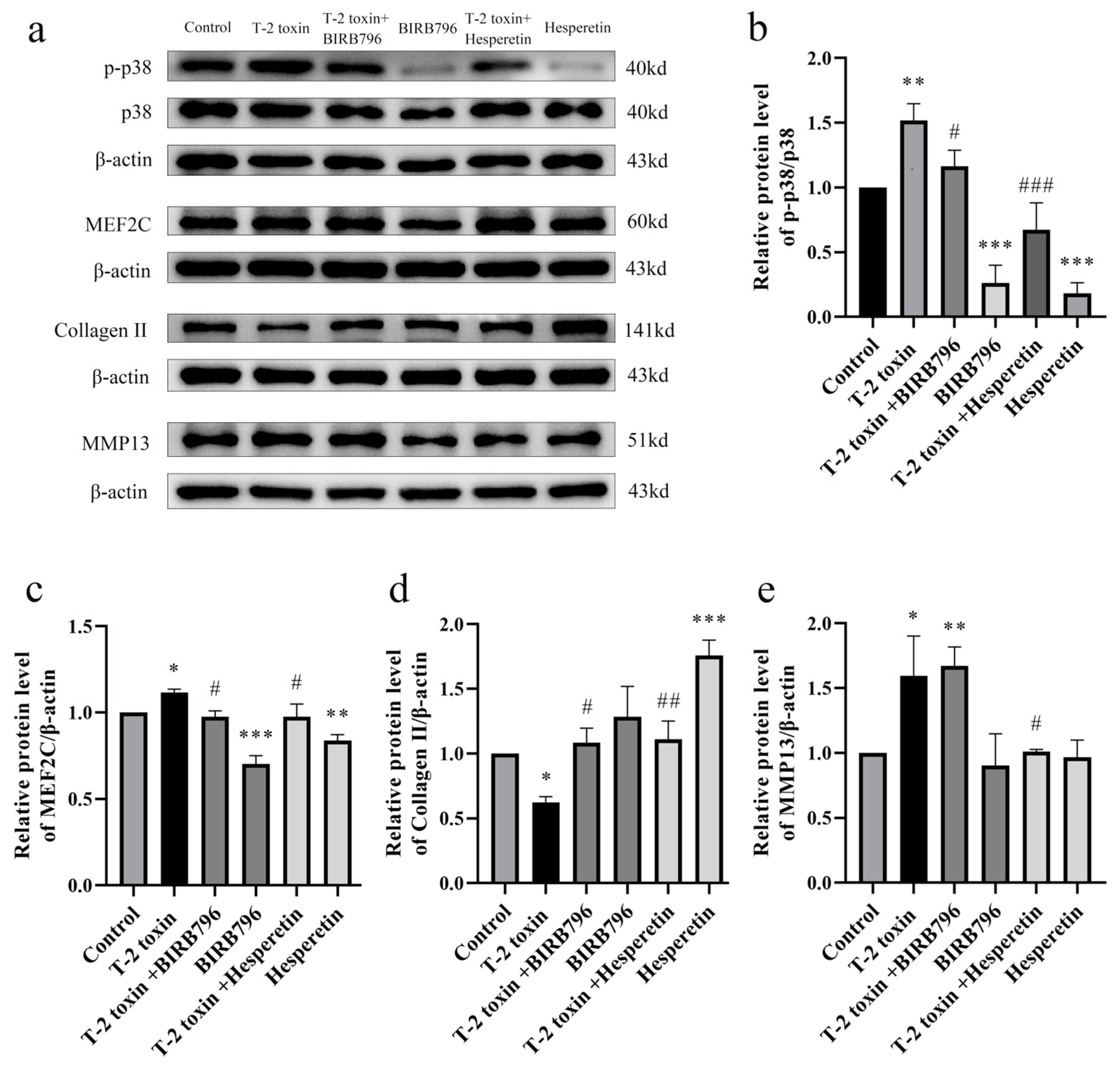 Nutrients 16 03107 g007