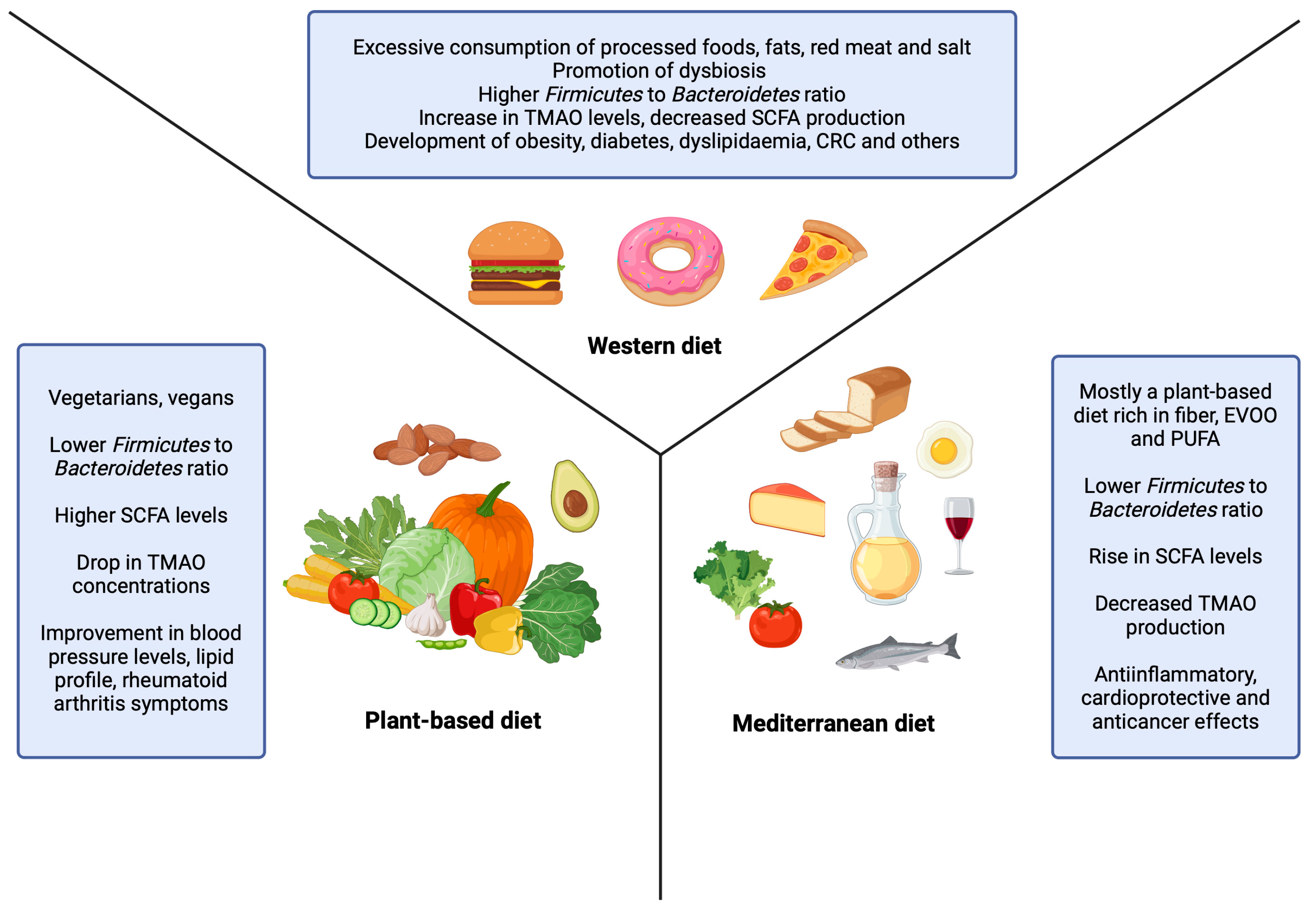 Nutrients 16 03134 g001 Nutrients 16 03134 g001