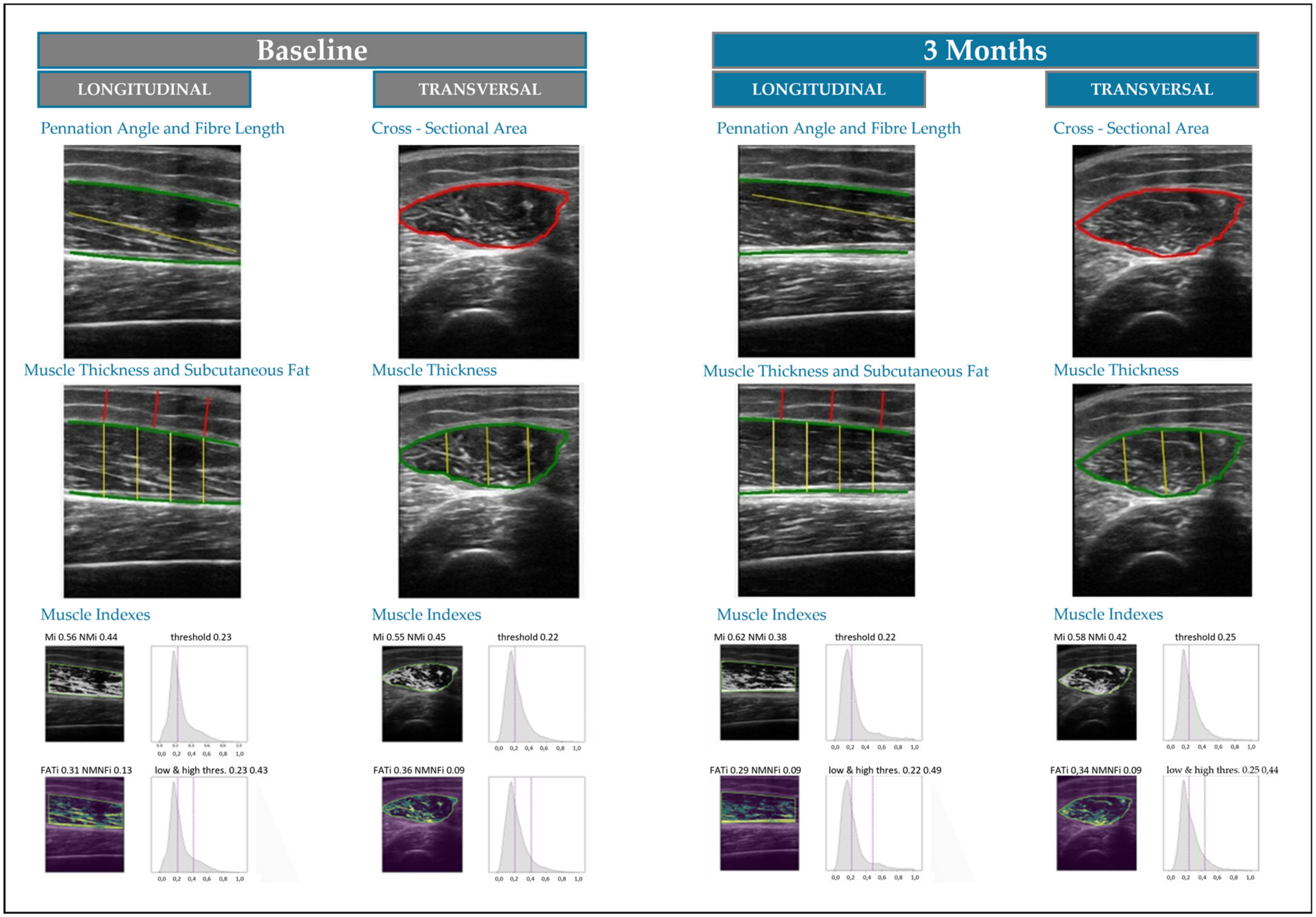 Nutrients 16 03136 g001