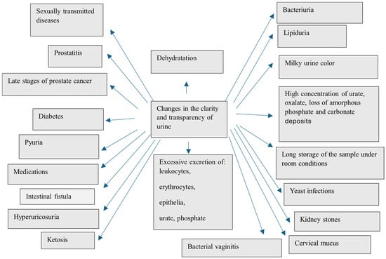 Nutrients 16 03141 g001