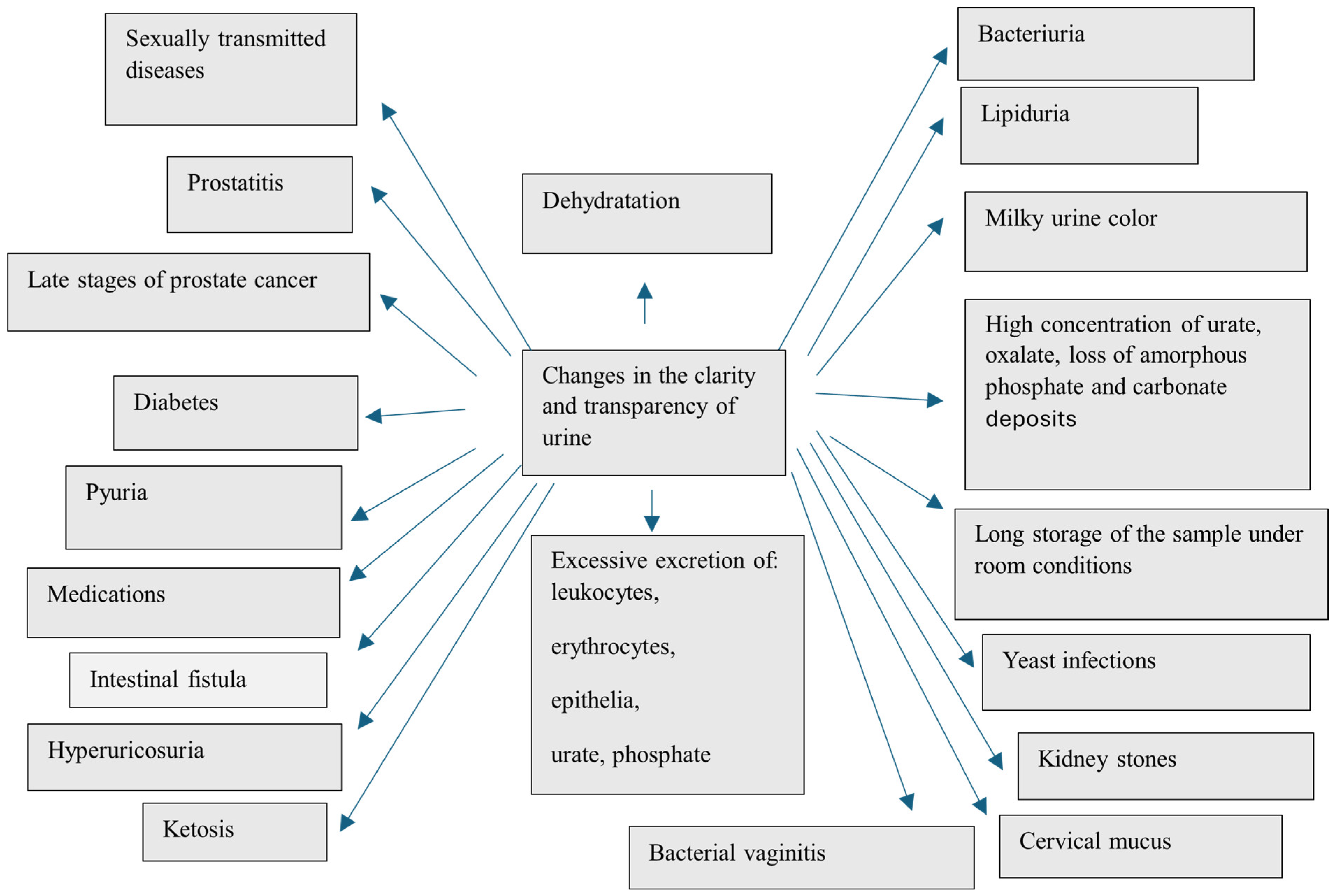 Nutrients 16 03141 g001