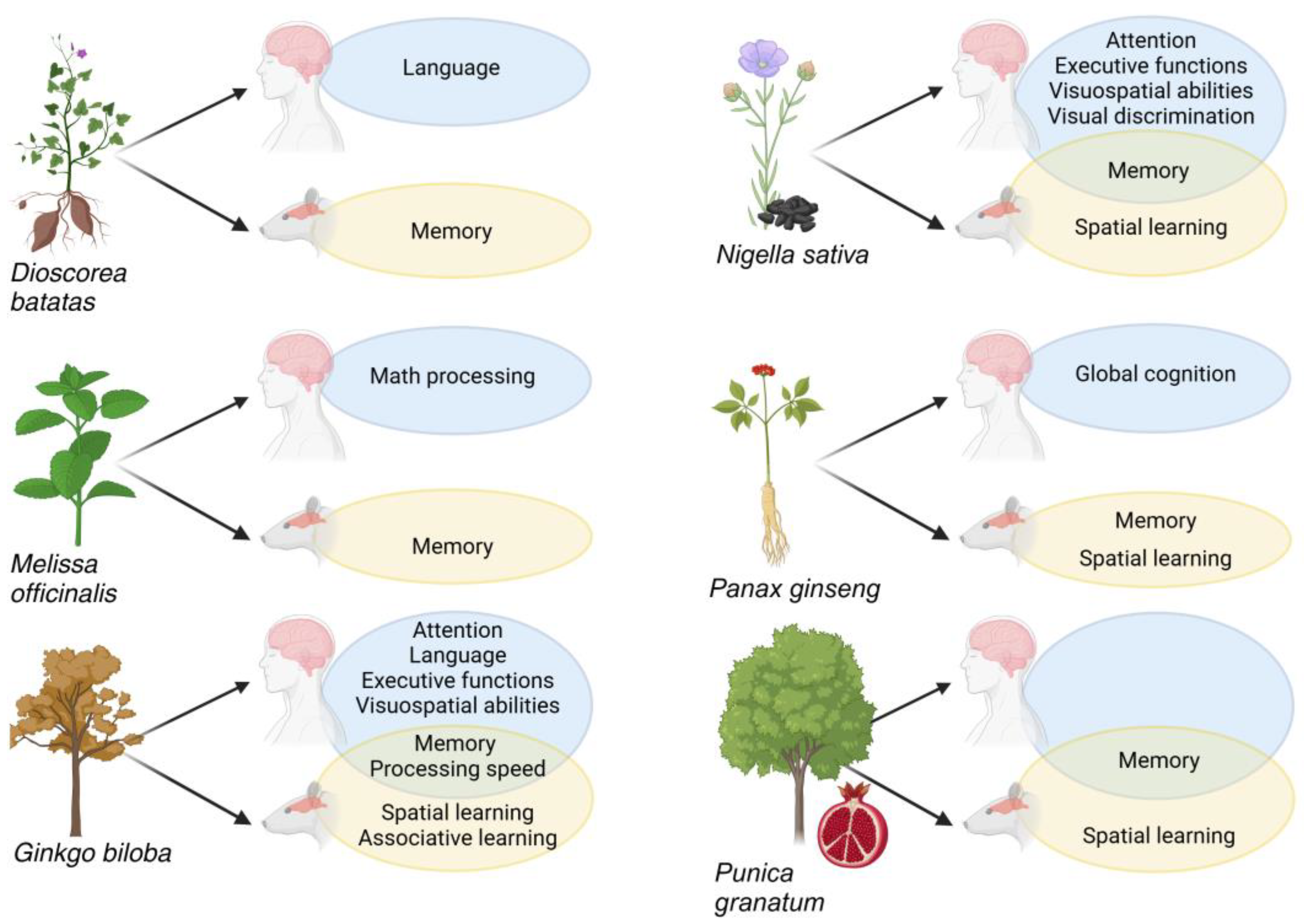 Nutrients 16 03156 g003