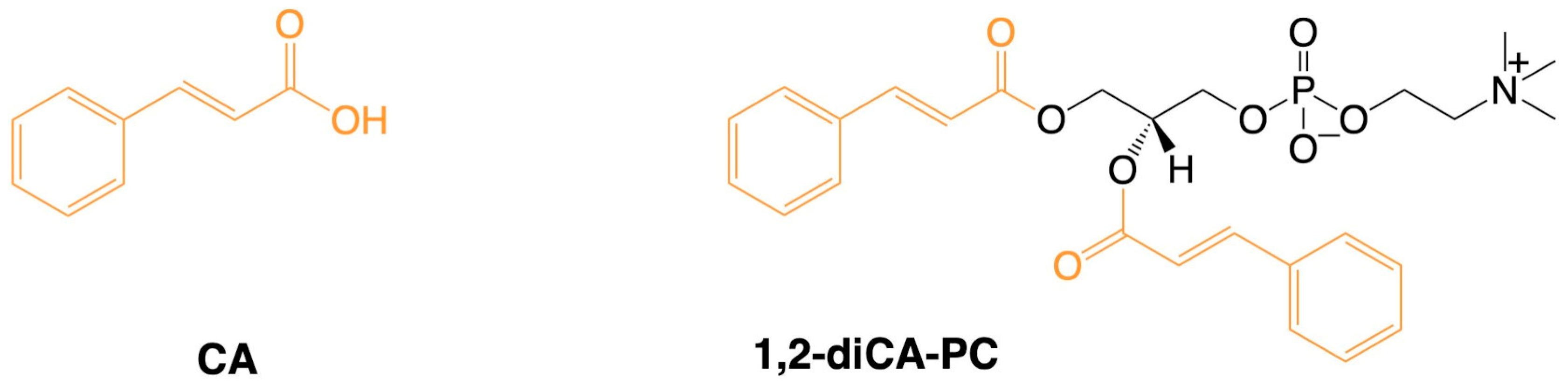 Nutrients 16 03163 g001 Nutrients 16 03163 g001