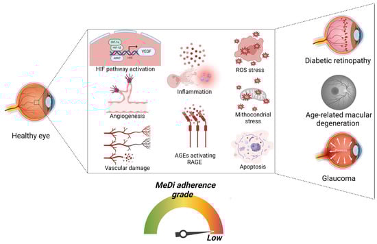 Nutrients 16 03169 g003