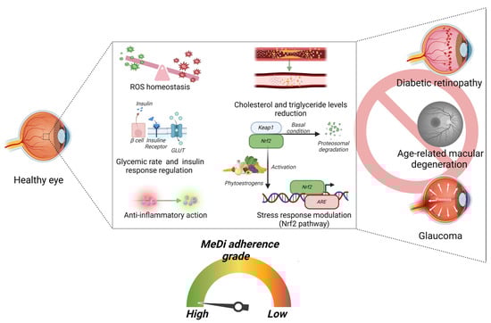 Nutrients 16 03169 g004