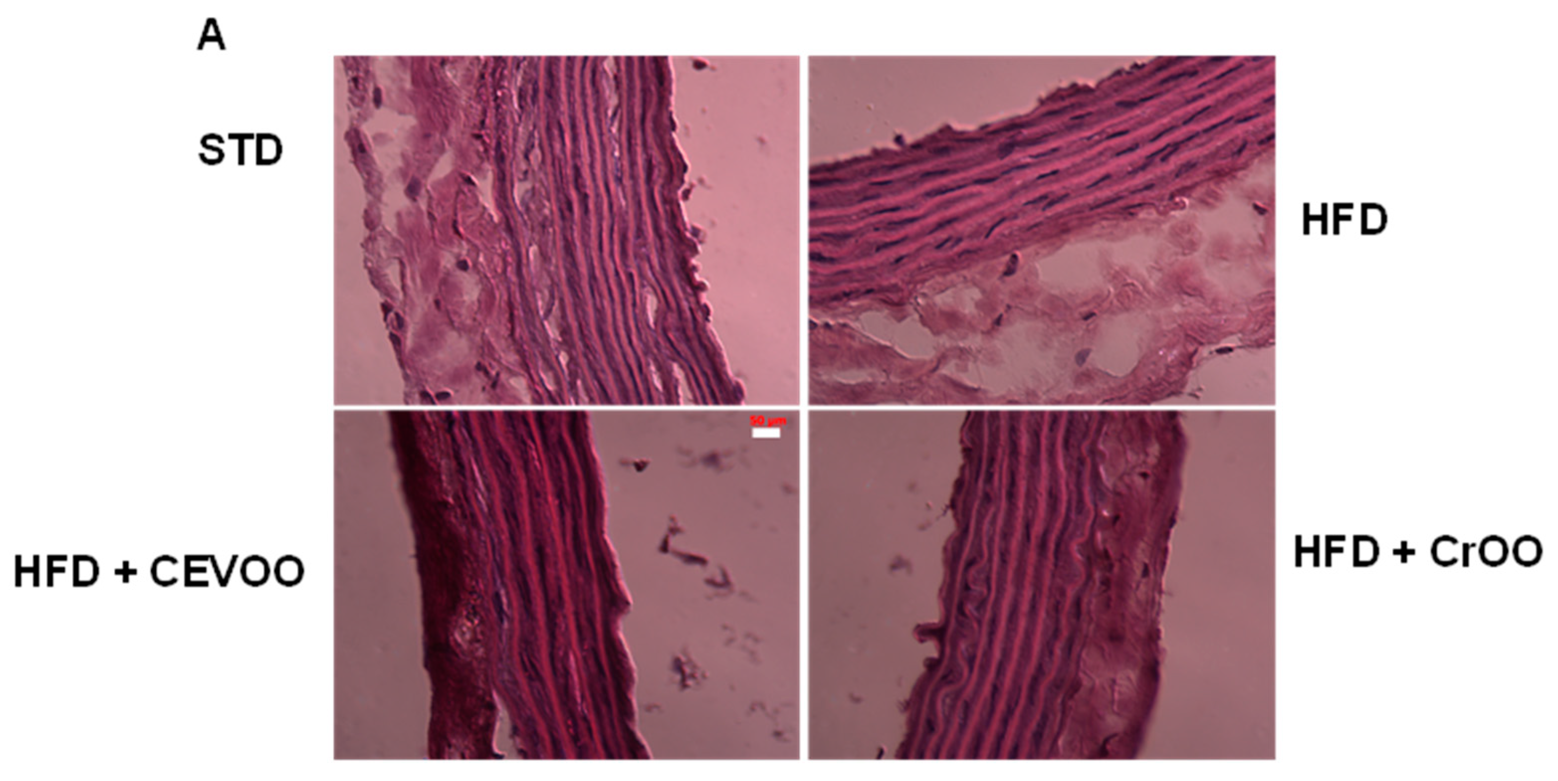 Nutrients 16 03172 g005a