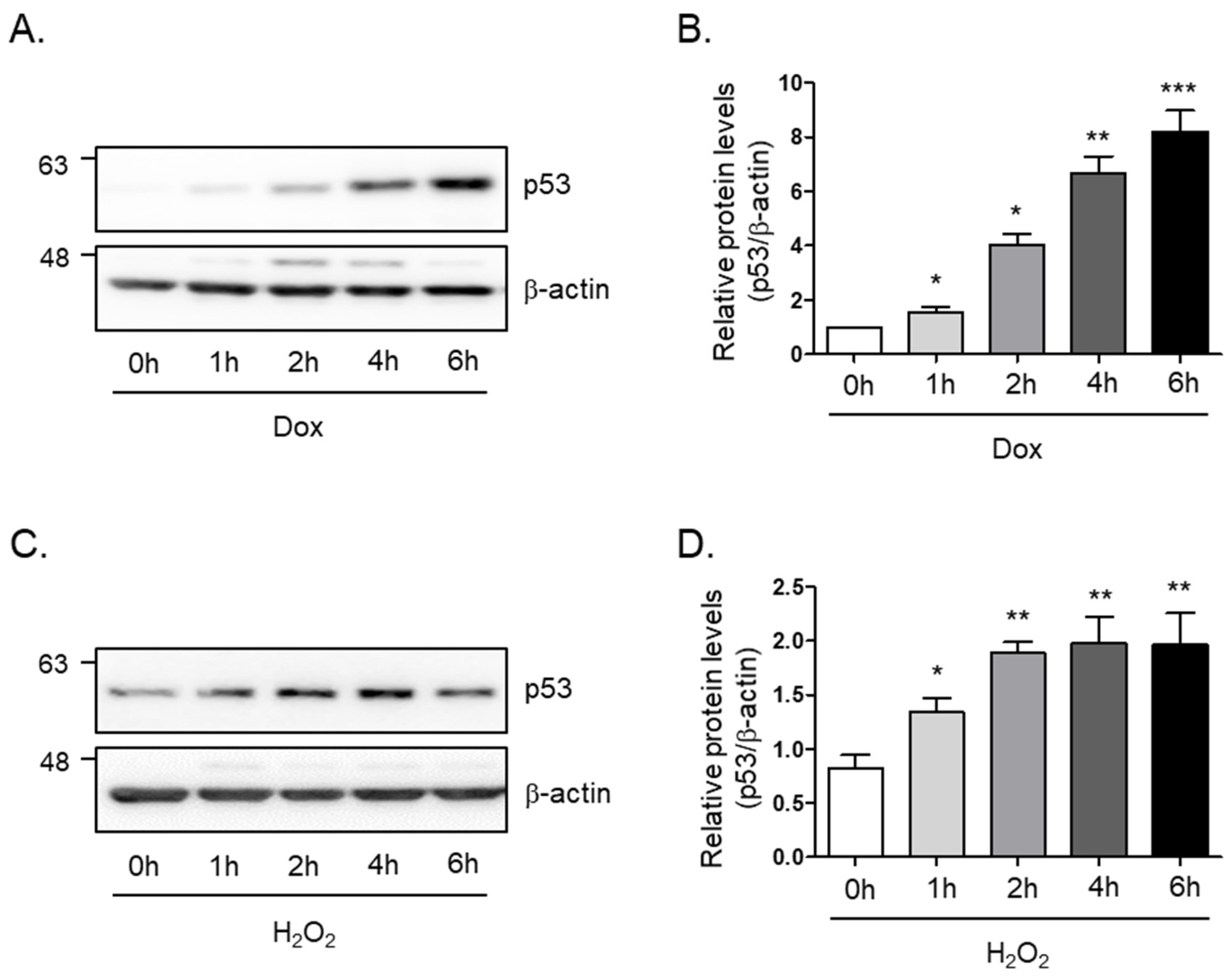 Nutrients 16 03177 g001