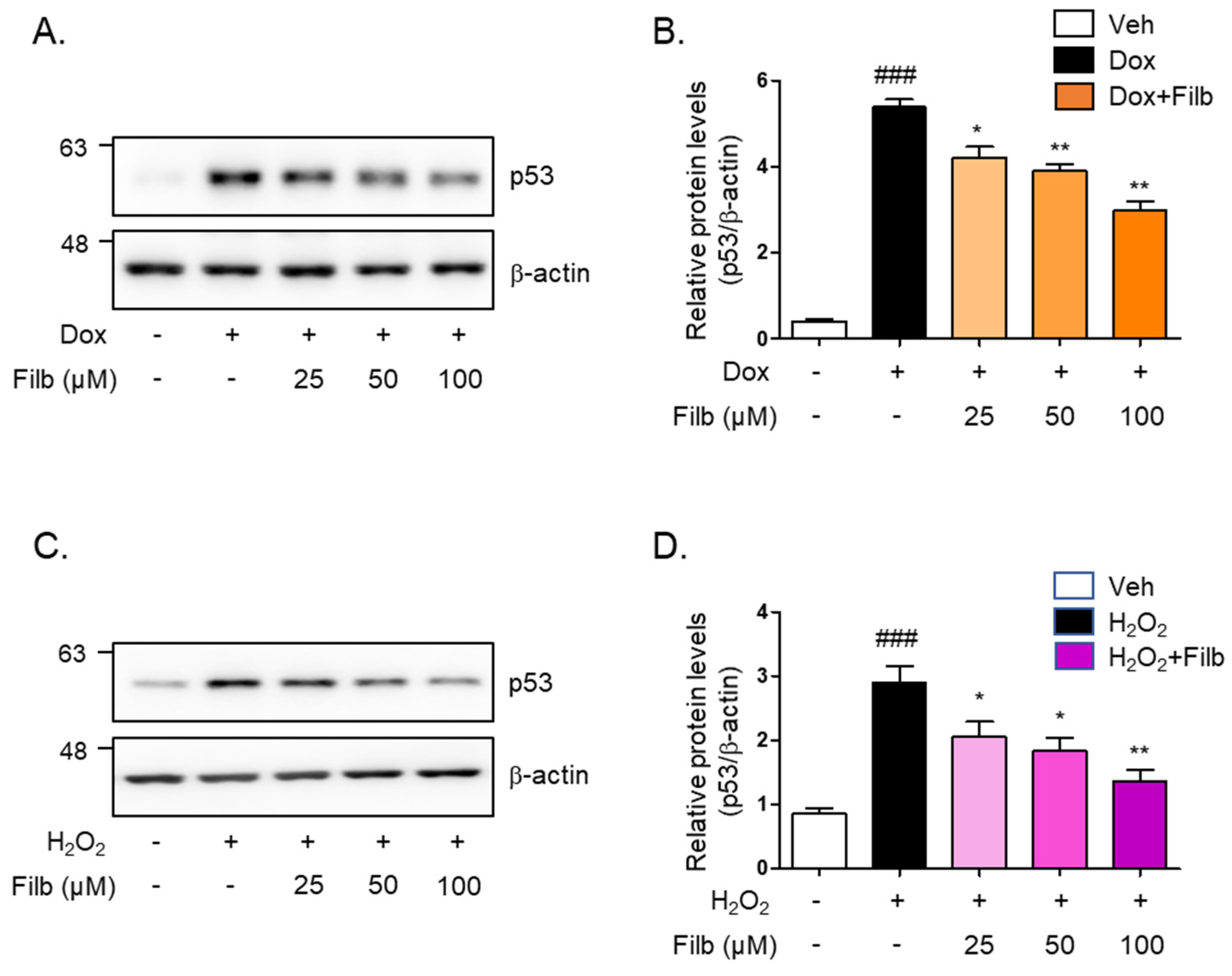 Nutrients 16 03177 g002