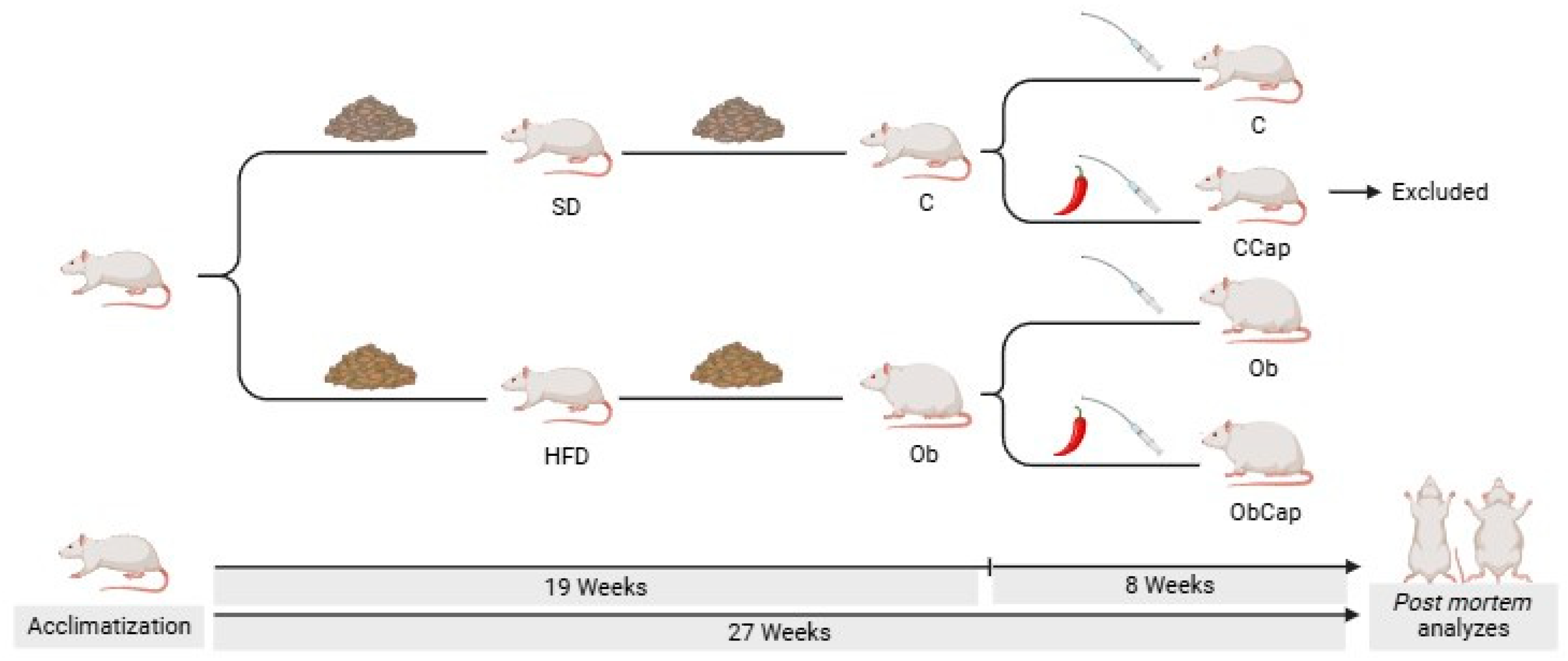 Nutrients 16 03183 g001 Nutrients 16 03183 g001