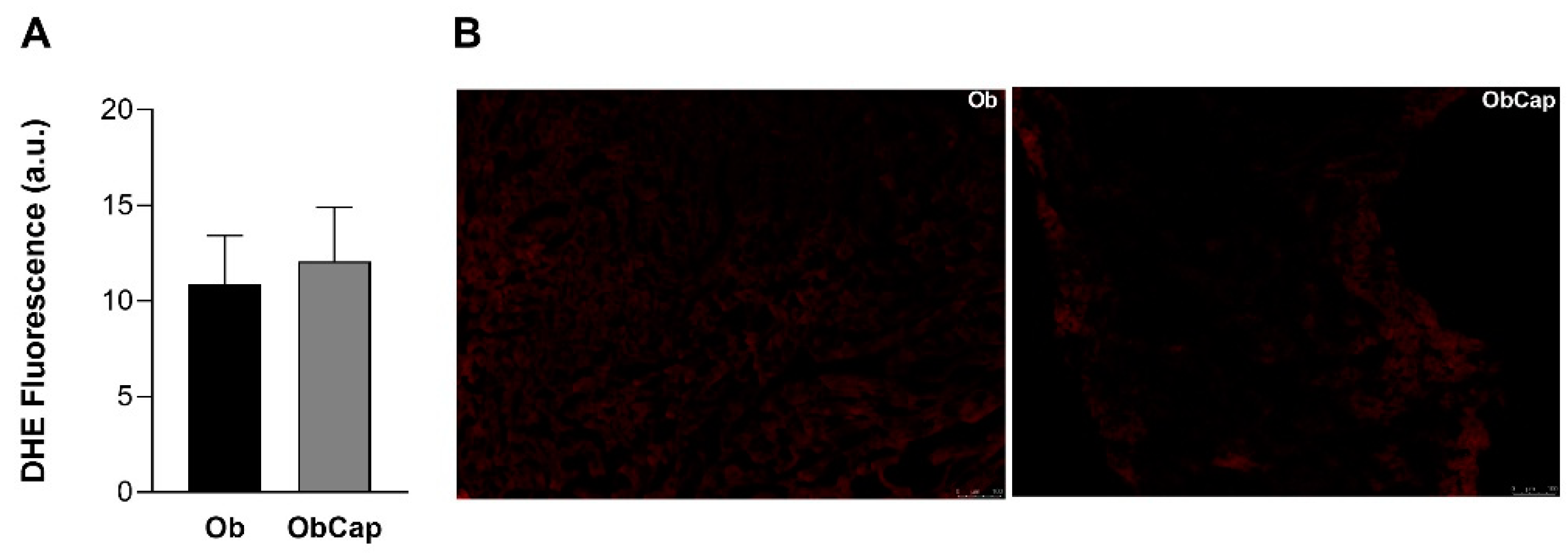 Nutrients 16 03183 g005 Nutrients 16 03183 g005