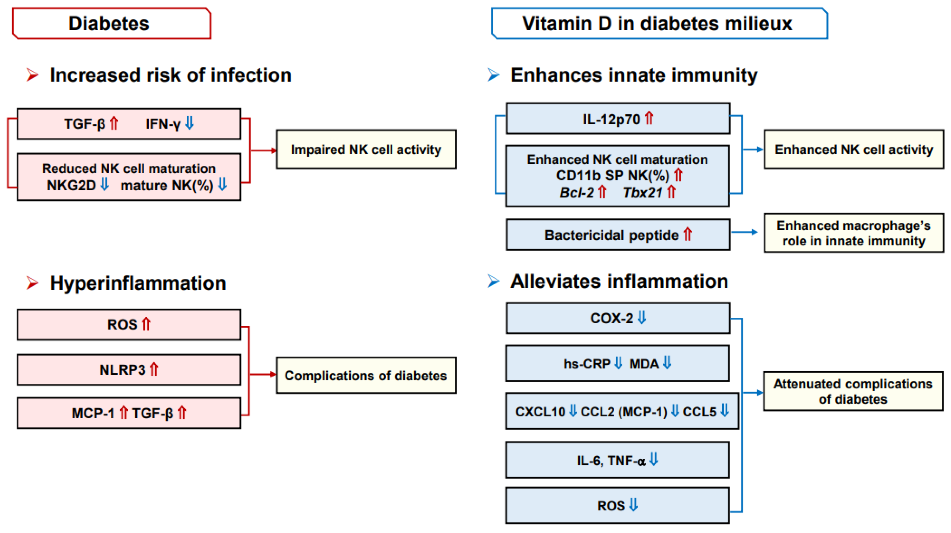 Nutrients 16 03185 g001