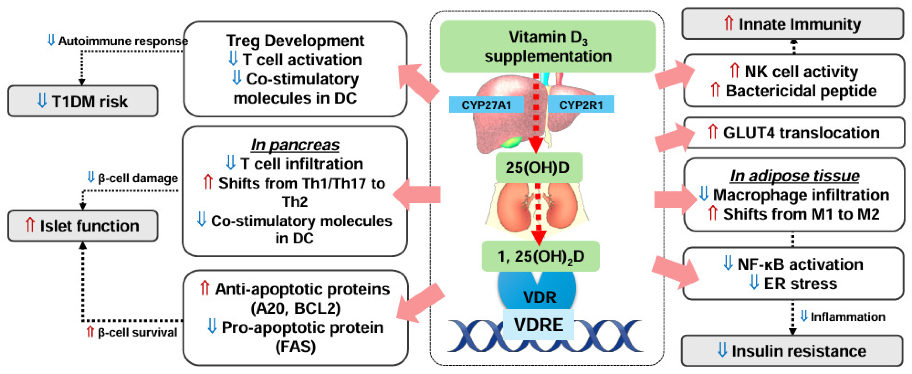 Nutrients 16 03185 g002