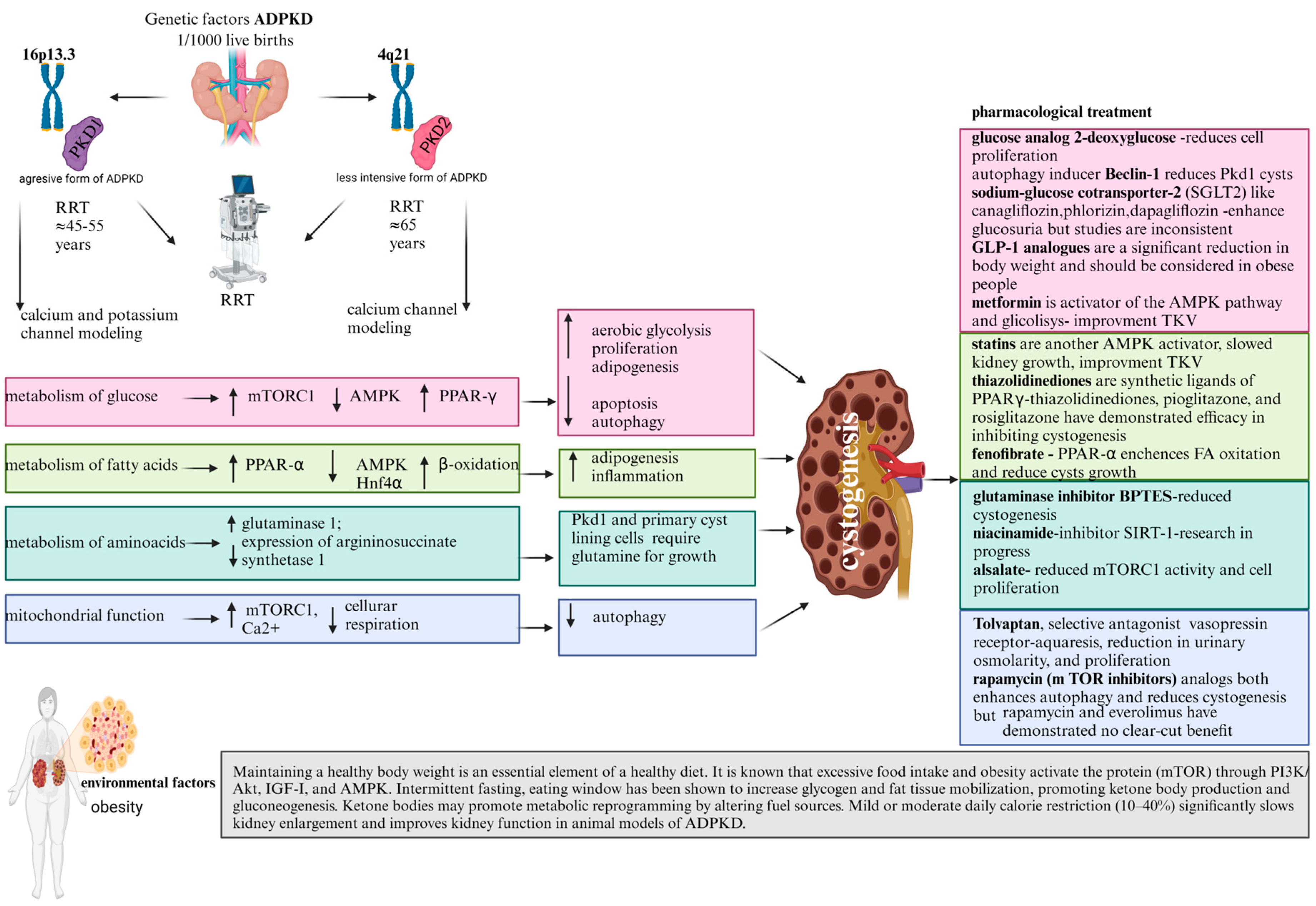 Nutrients 16 03216 g003