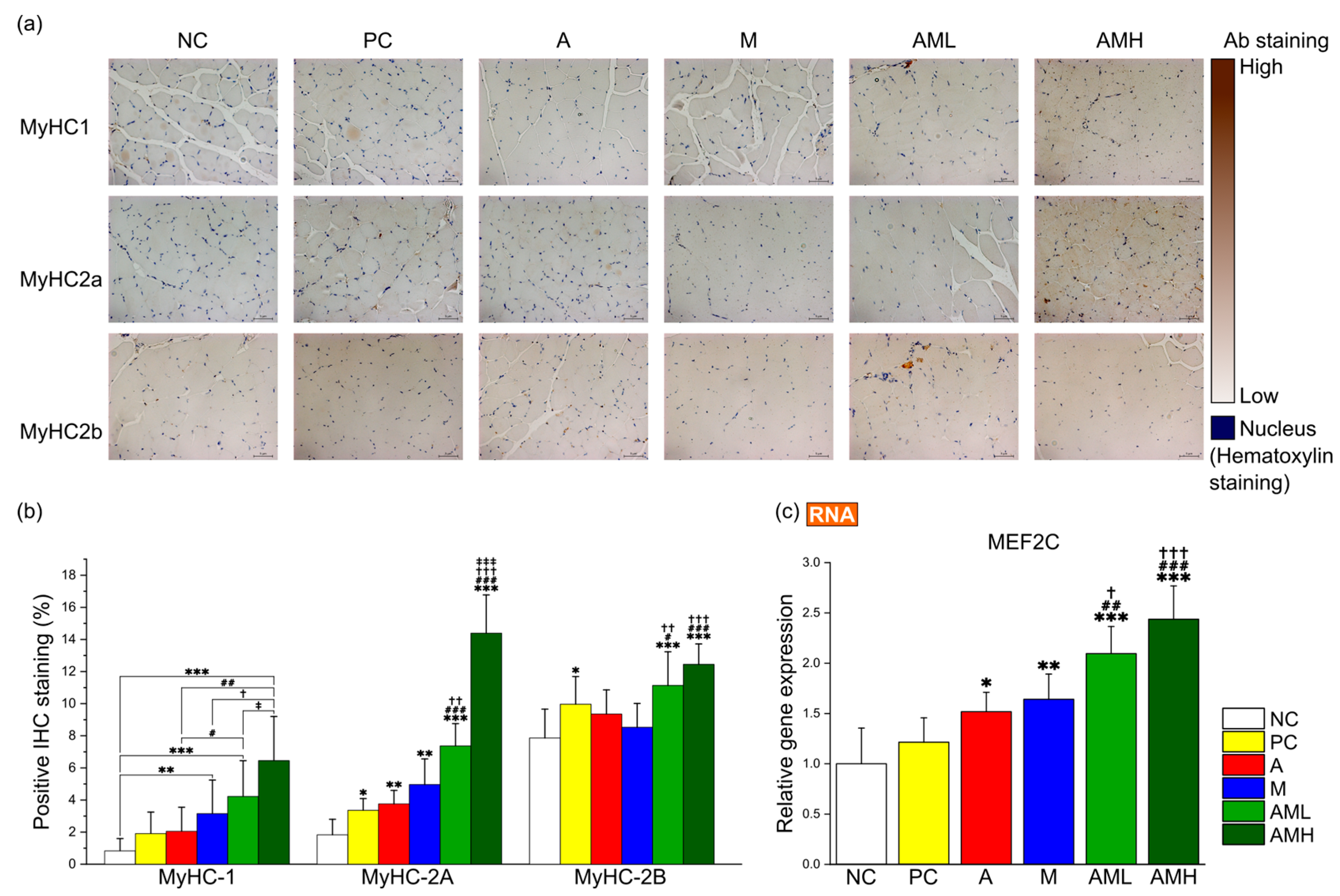 Nutrients 16 03255 g005