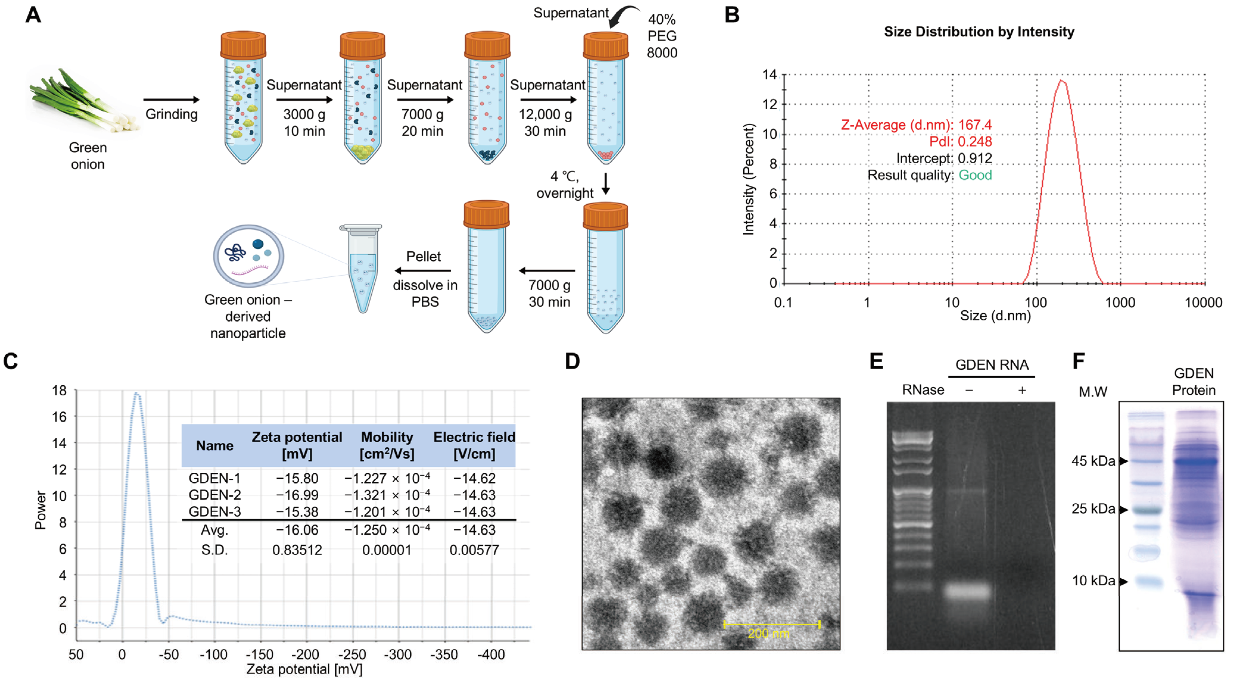 Nutrients 16 03257 g001