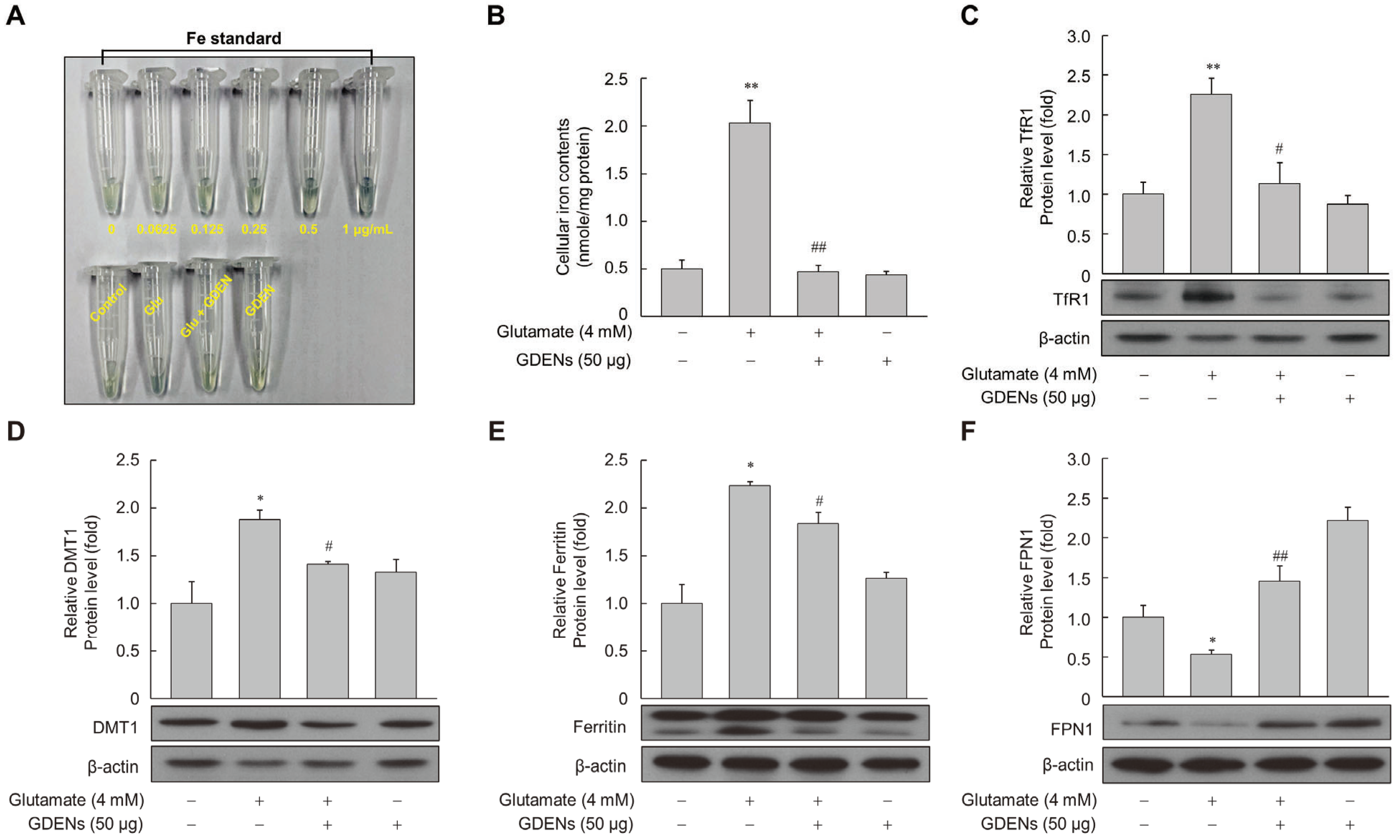 Nutrients 16 03257 g005