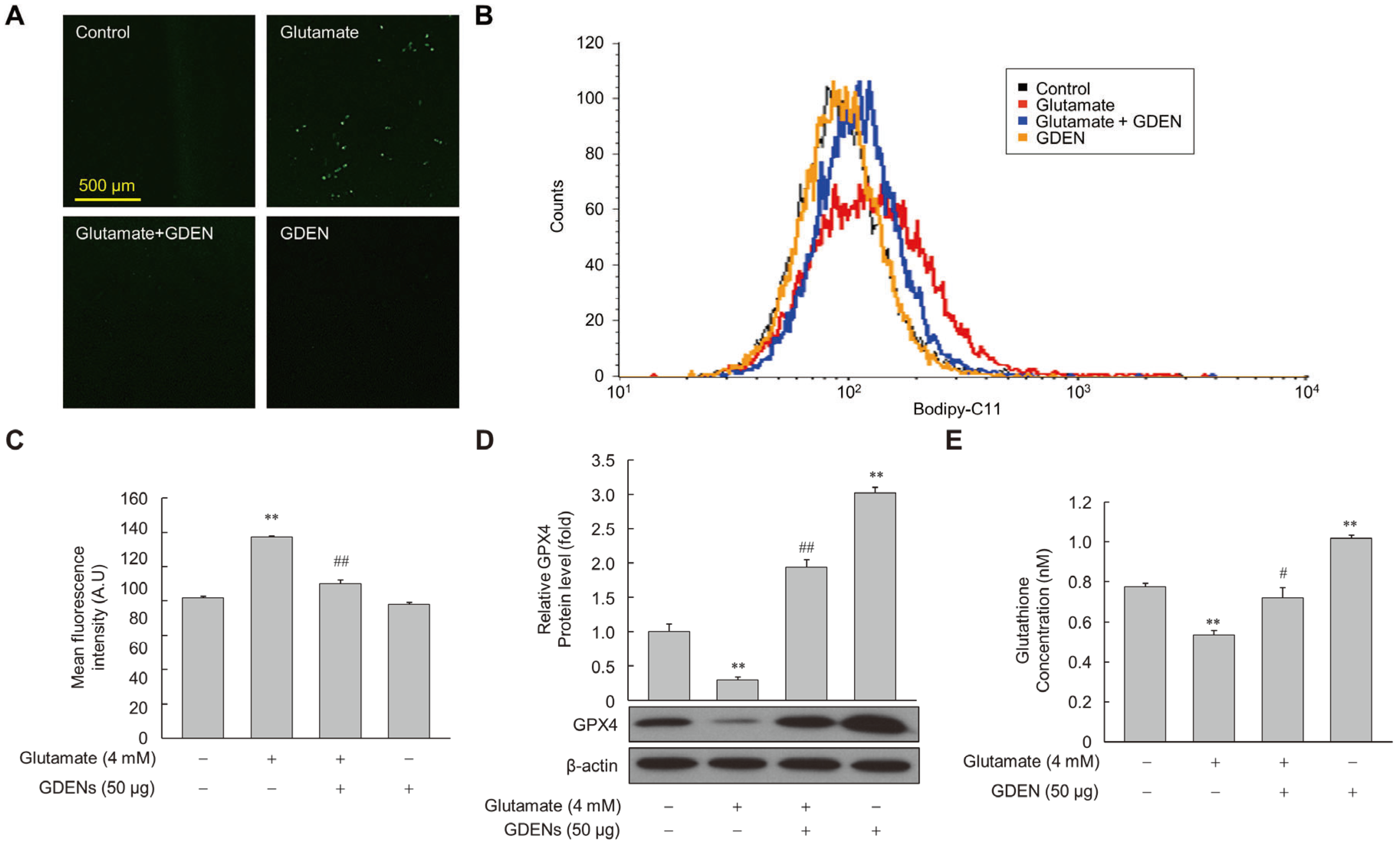 Nutrients 16 03257 g006