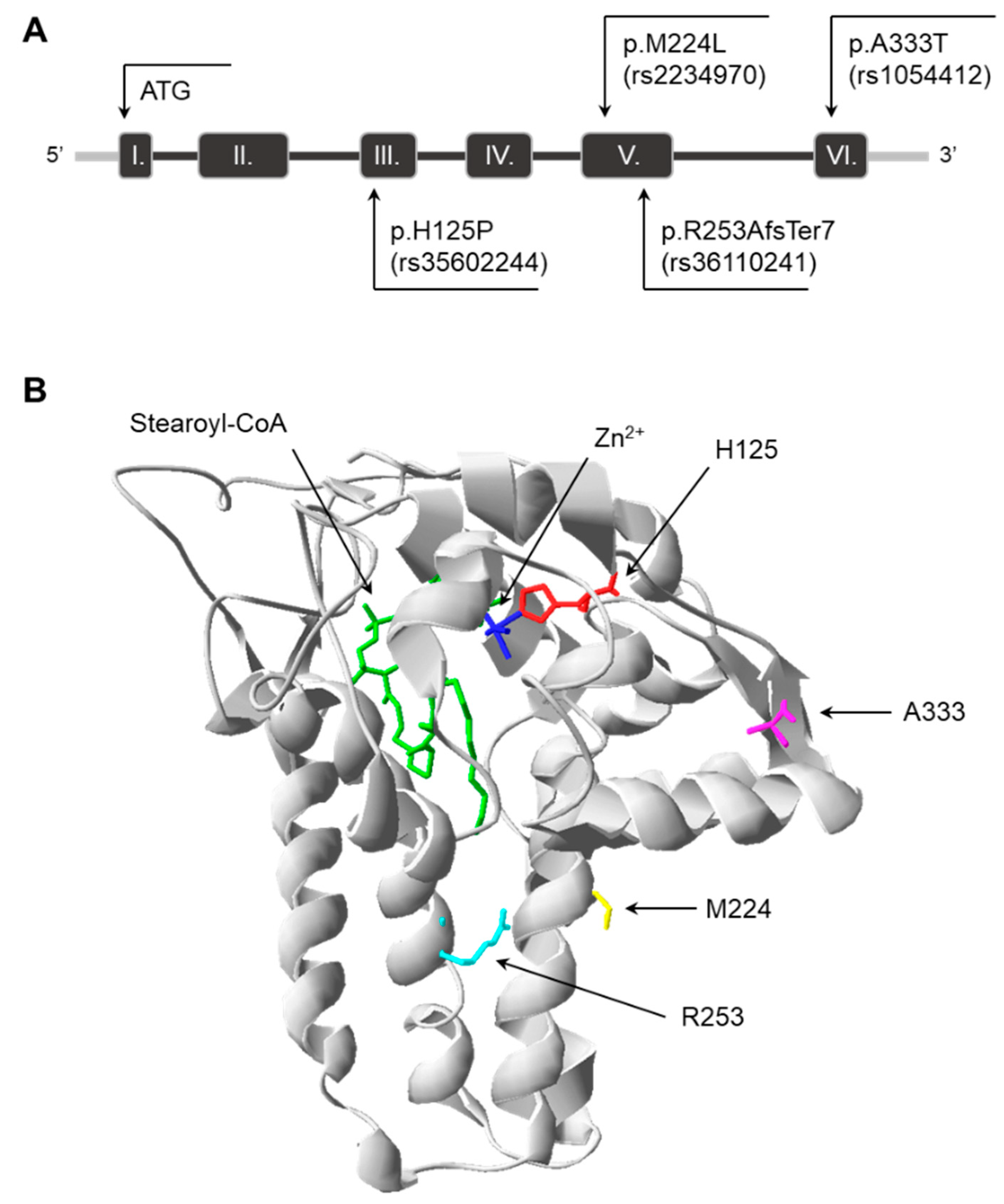 Nutrients 16 03259 g001