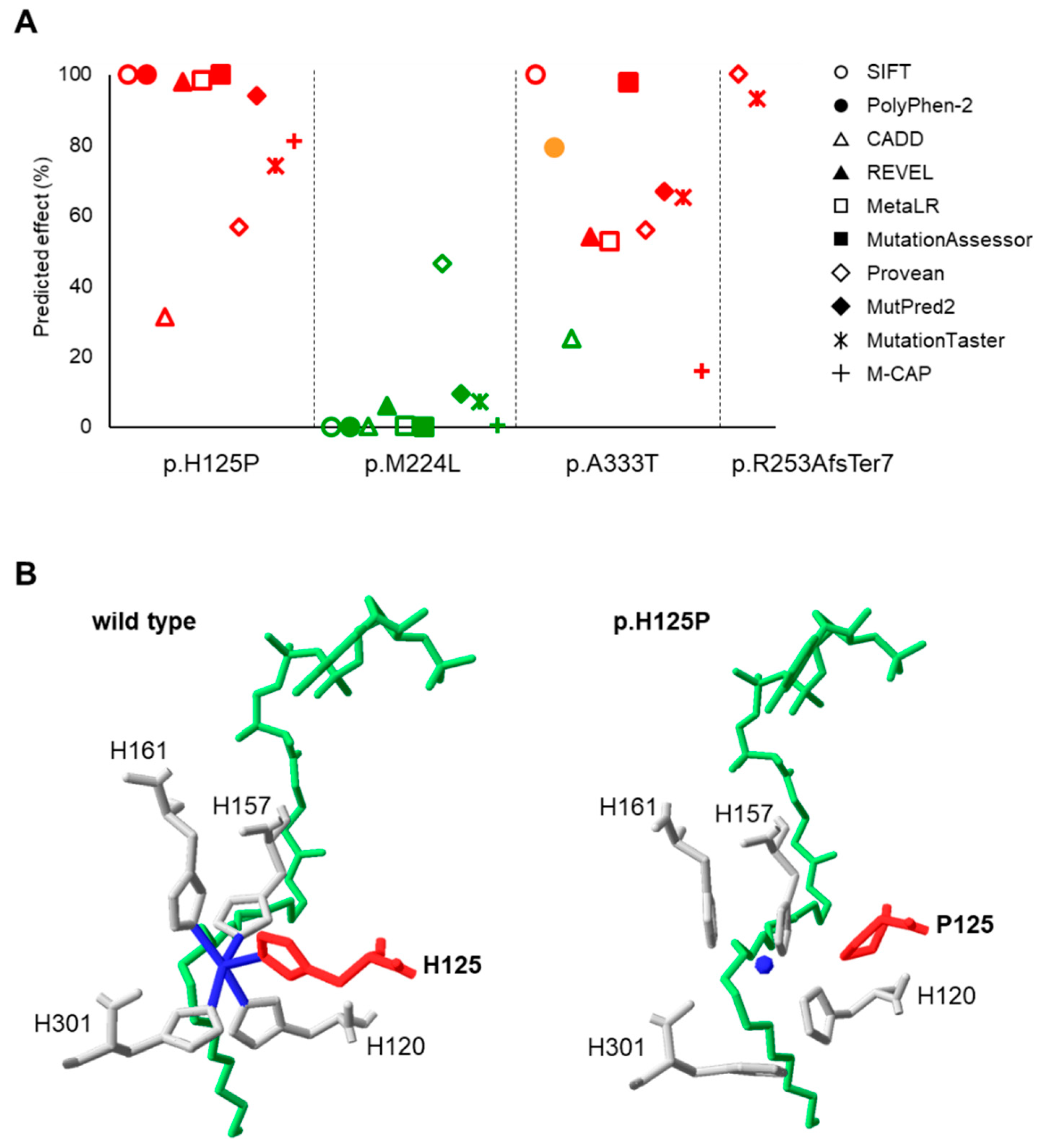 Nutrients 16 03259 g002