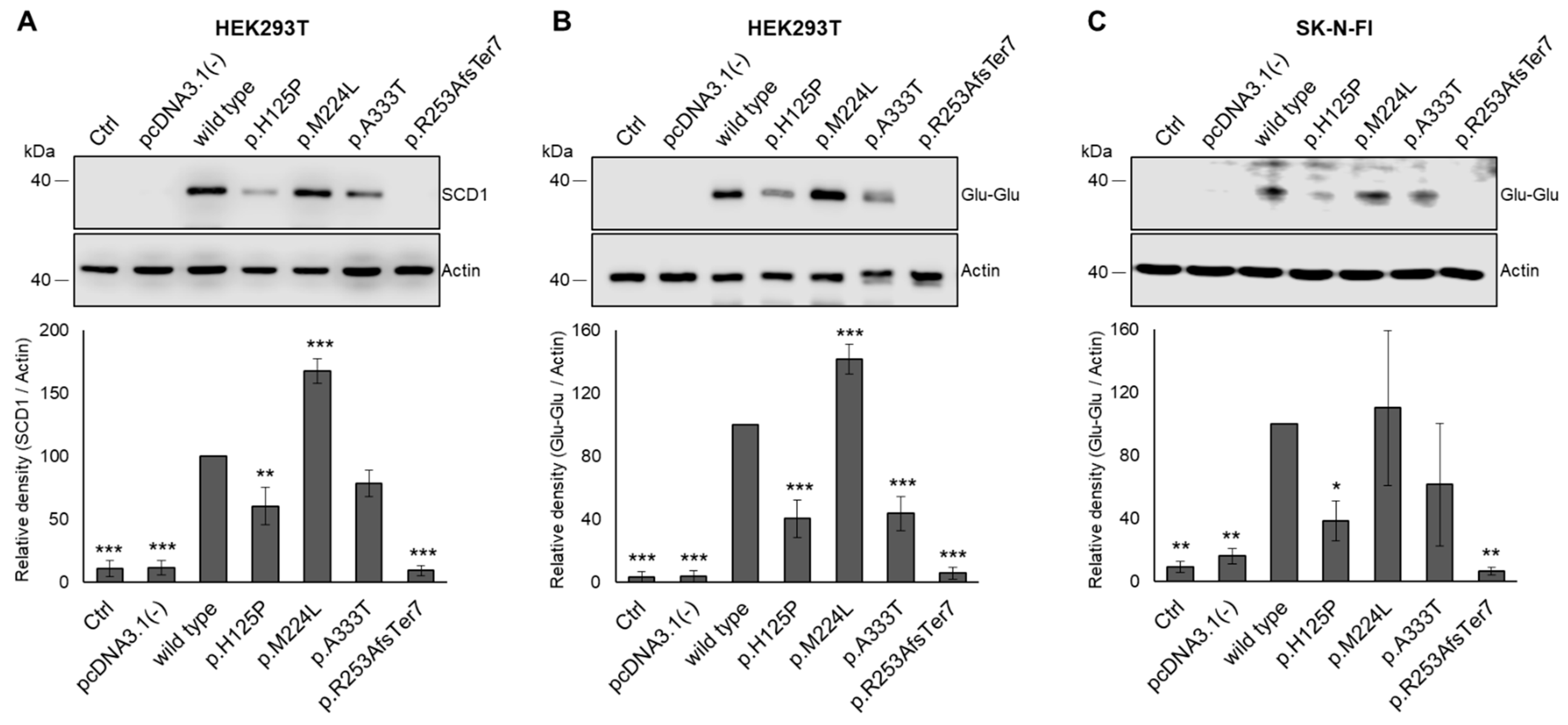 Nutrients 16 03259 g004