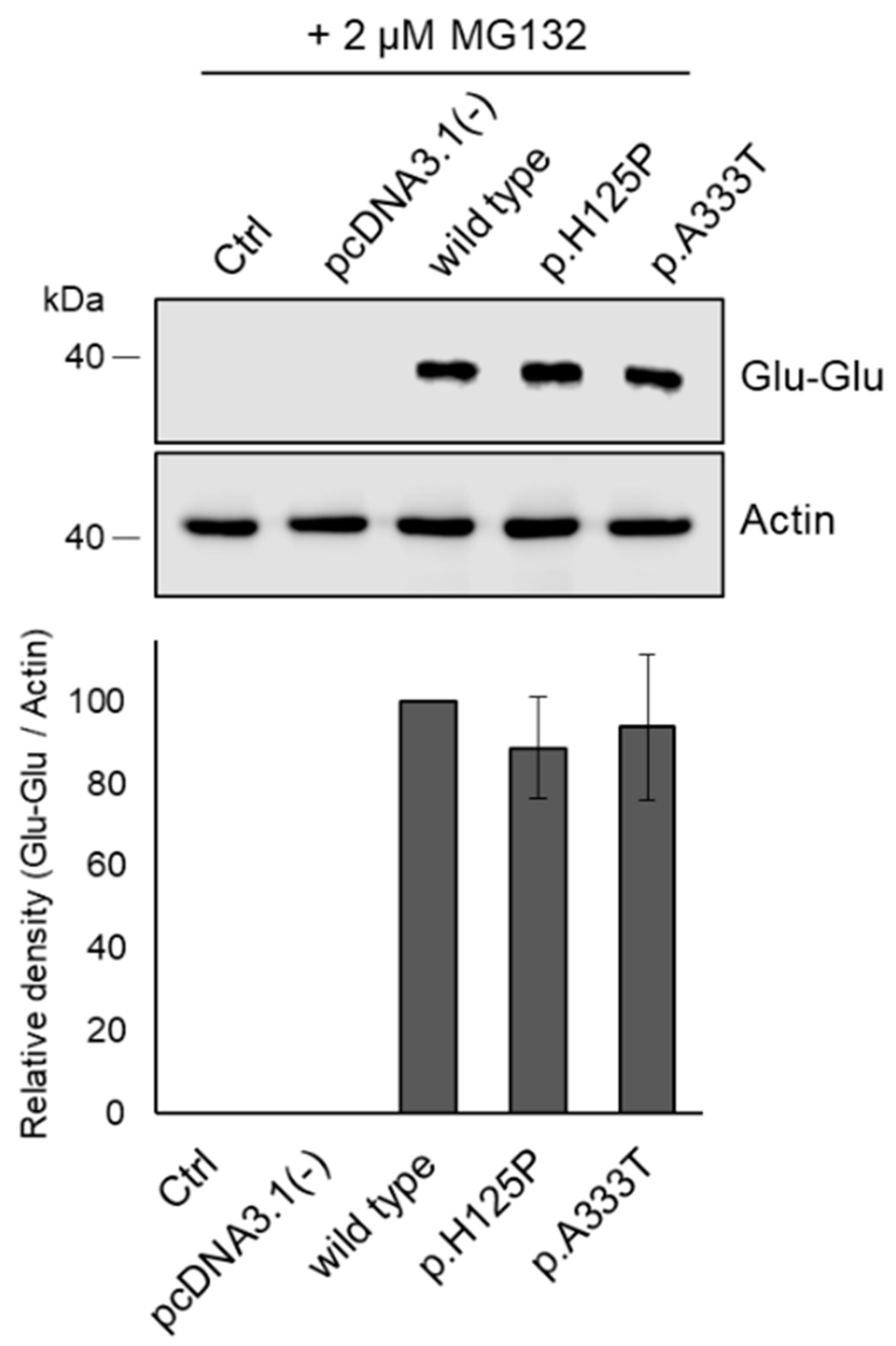 Nutrients 16 03259 g006