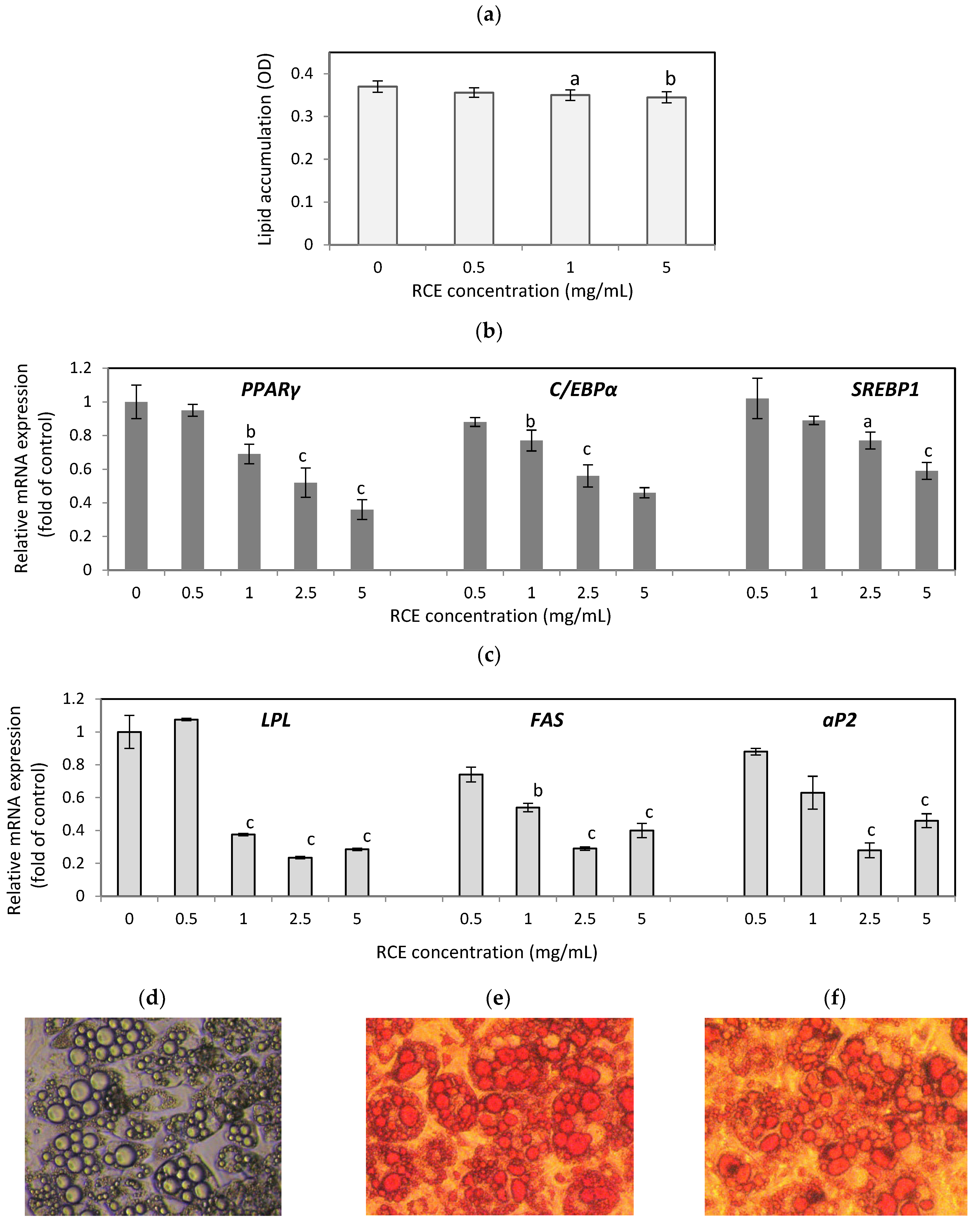 Nutrients 16 03269 g001a
