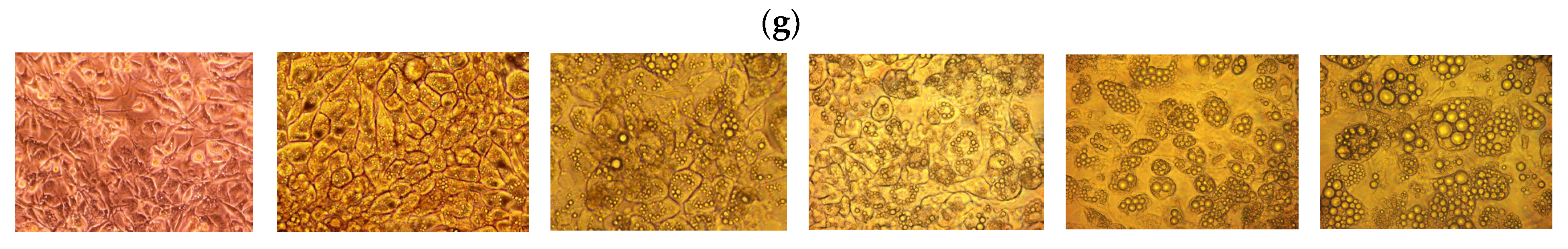 Nutrients 16 03269 g001b