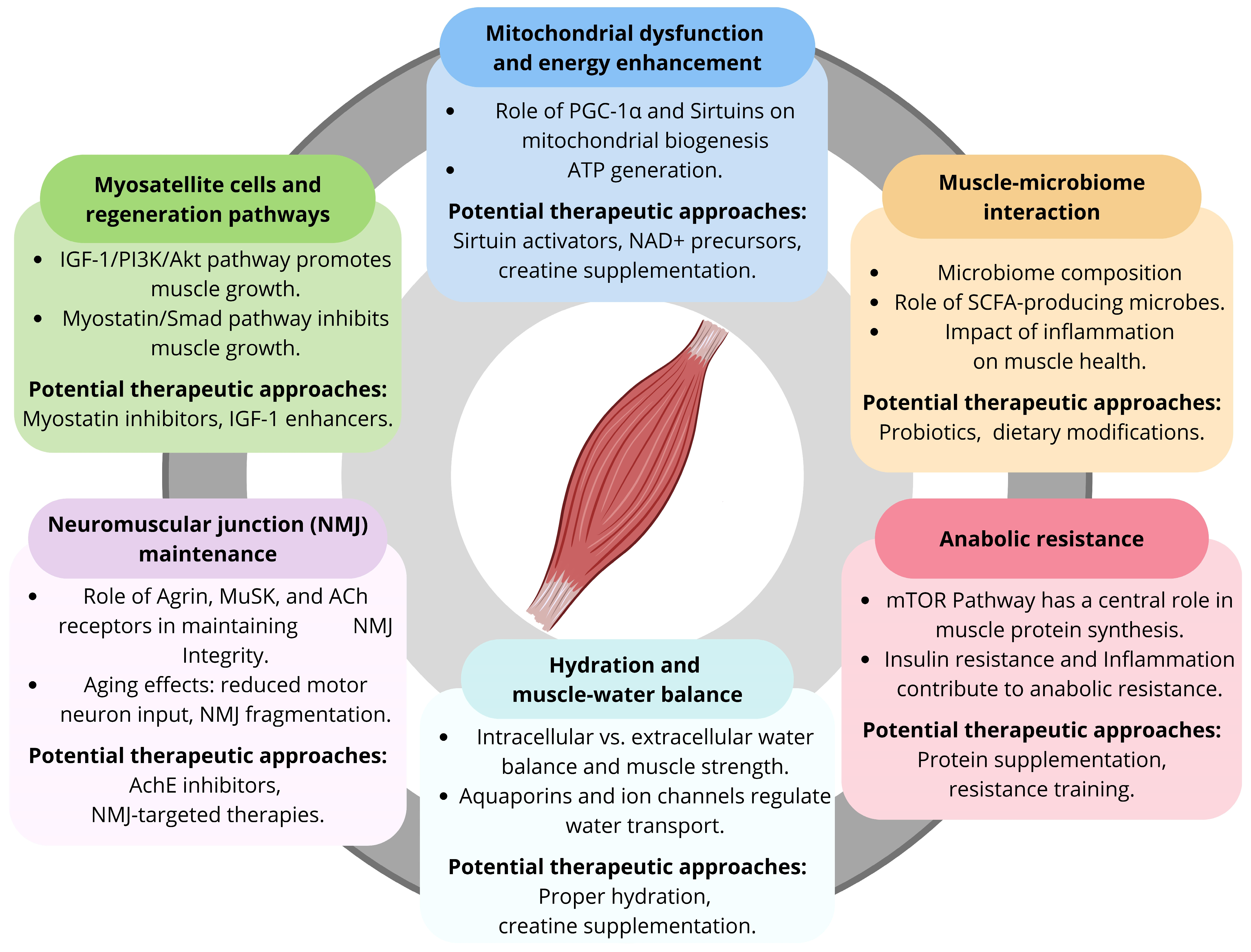 Nutrients 16 03271 g001