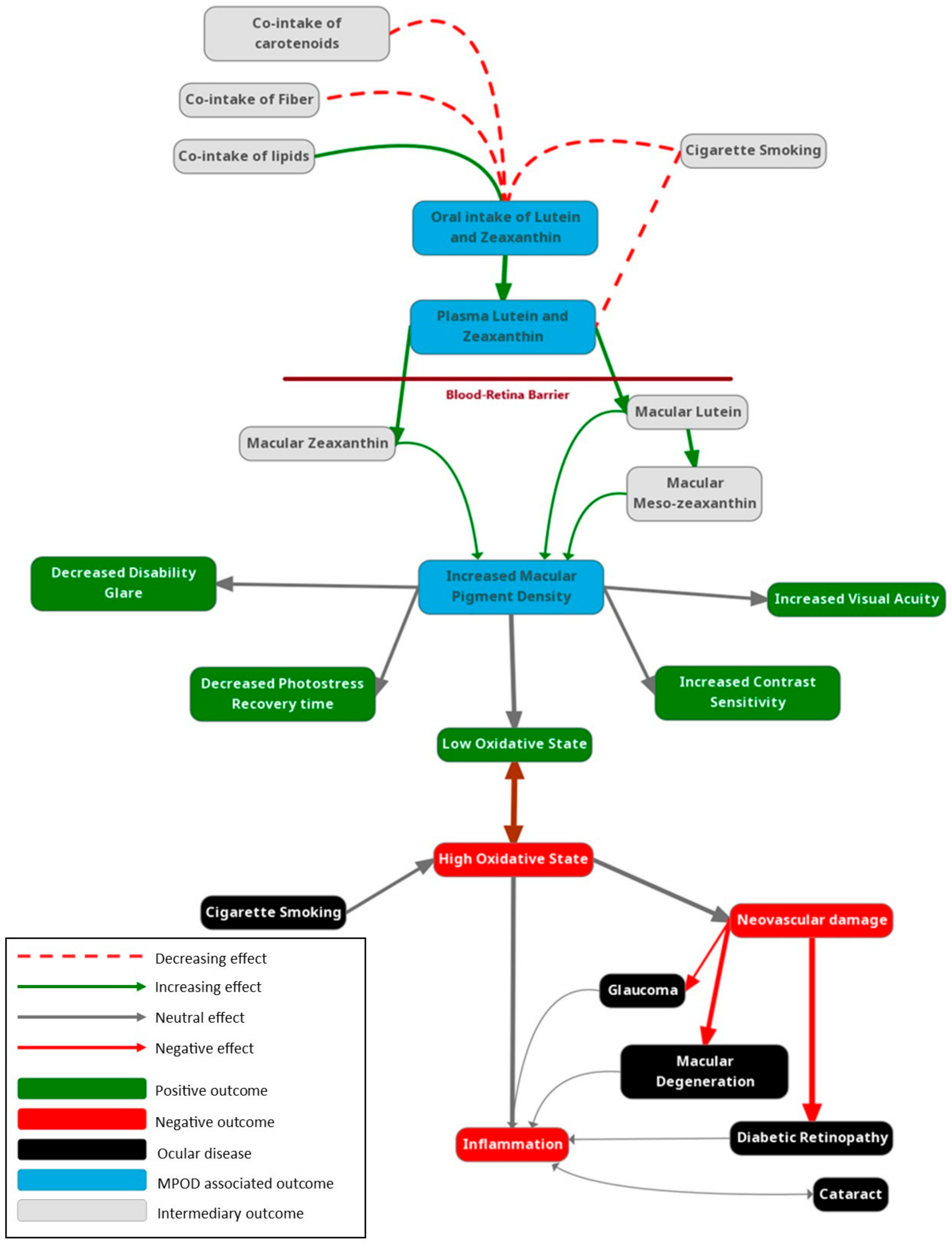 Nutrients 16 03273 g001 Nutrients 16 03273 g001