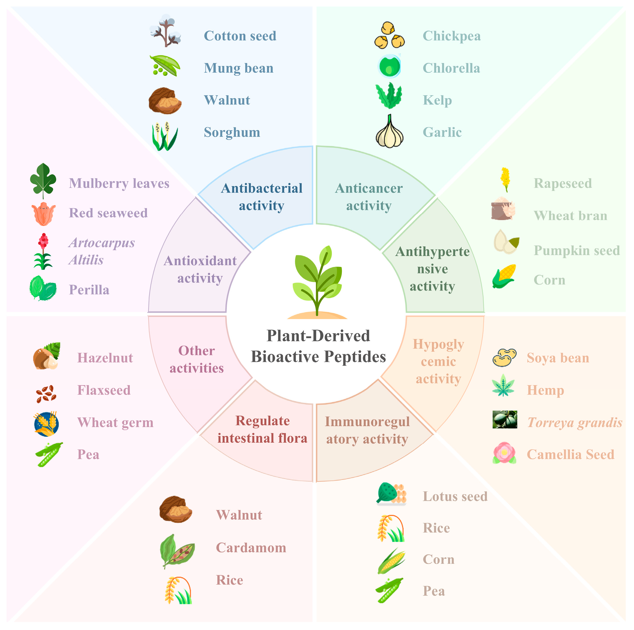Nutrients 16 03277 g002 Nutrients 16 03277 g002