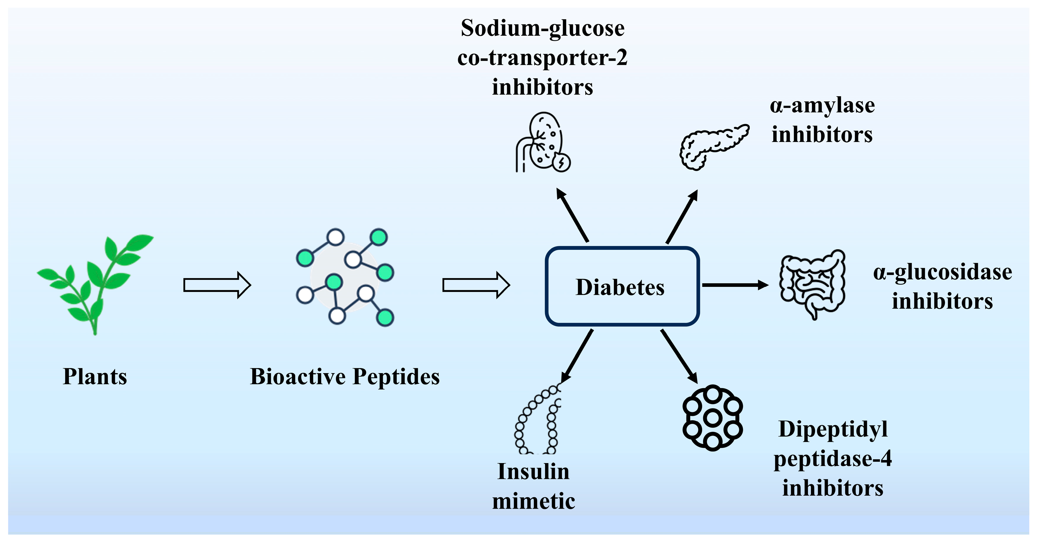 Nutrients 16 03277 g006 Nutrients 16 03277 g006