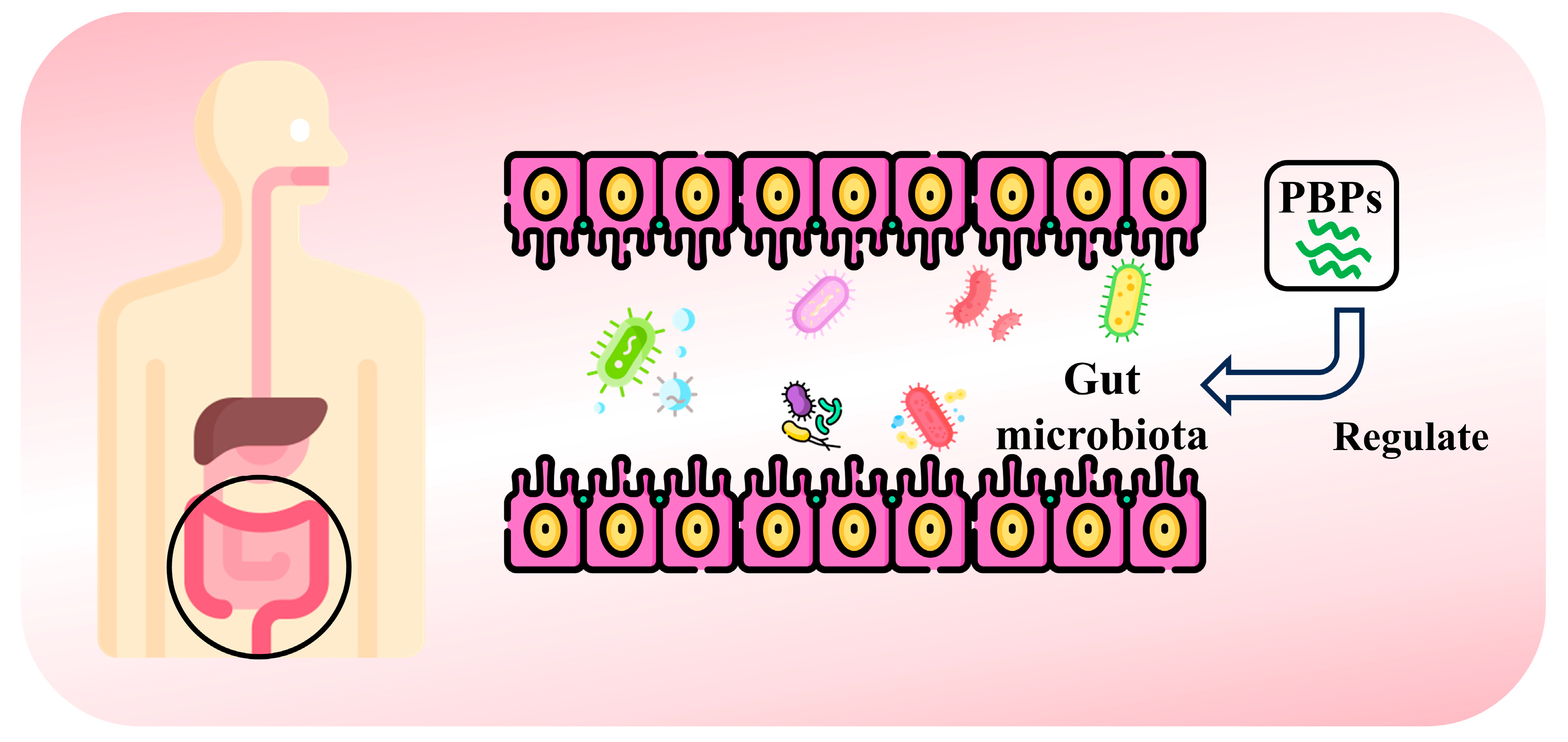 Nutrients 16 03277 g007 Nutrients 16 03277 g007