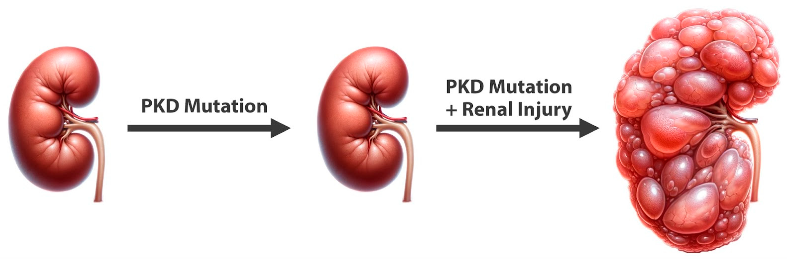 Nutrients 16 03281 g001