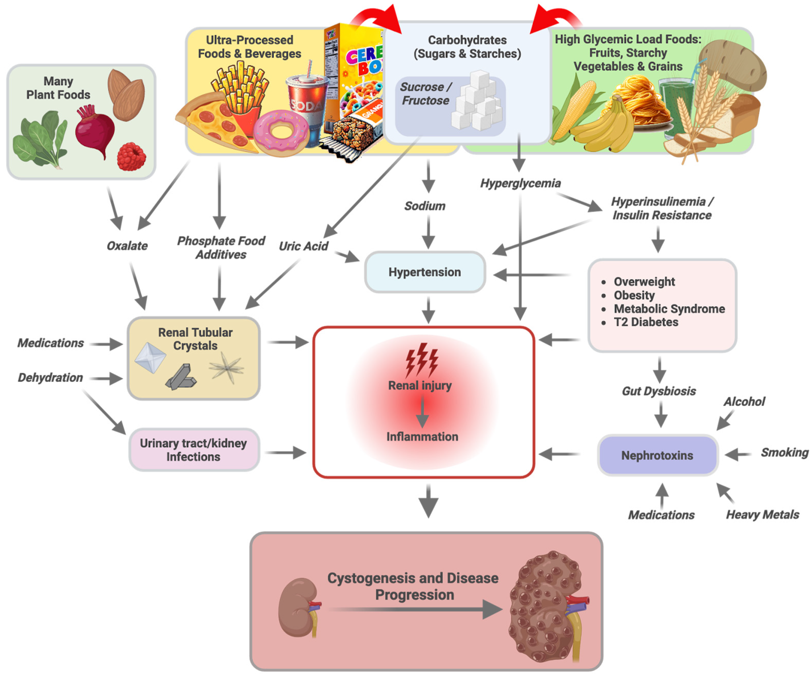 Nutrients 16 03281 g002