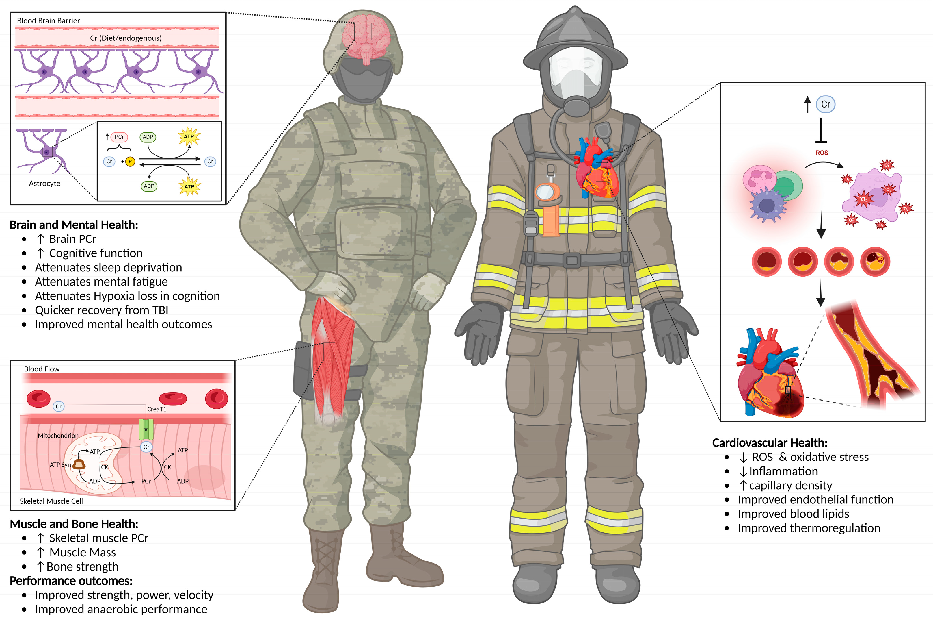 Nutrients 16 03285 g001