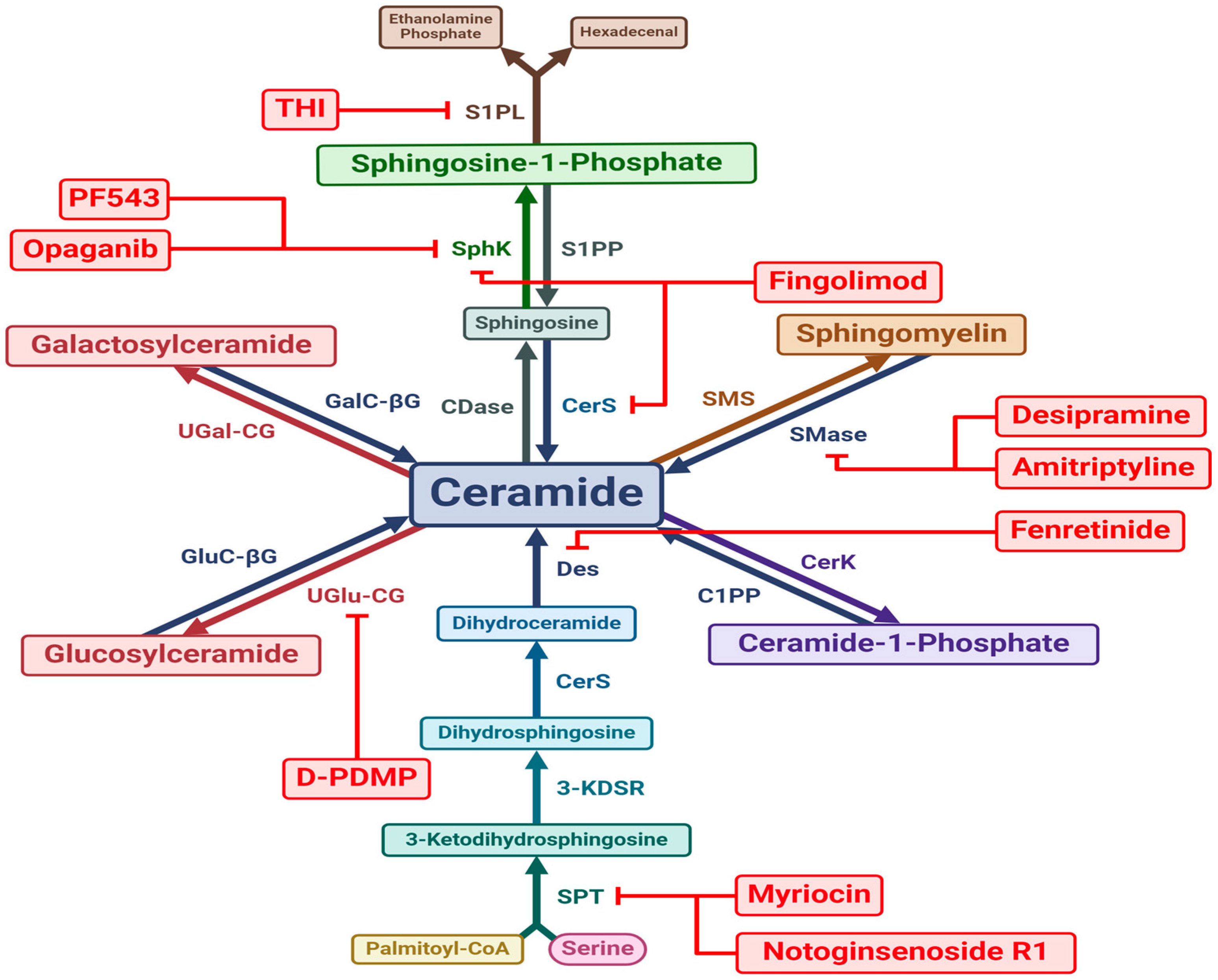 Nutrients 16 03296 g002 Nutrients 16 03296 g002