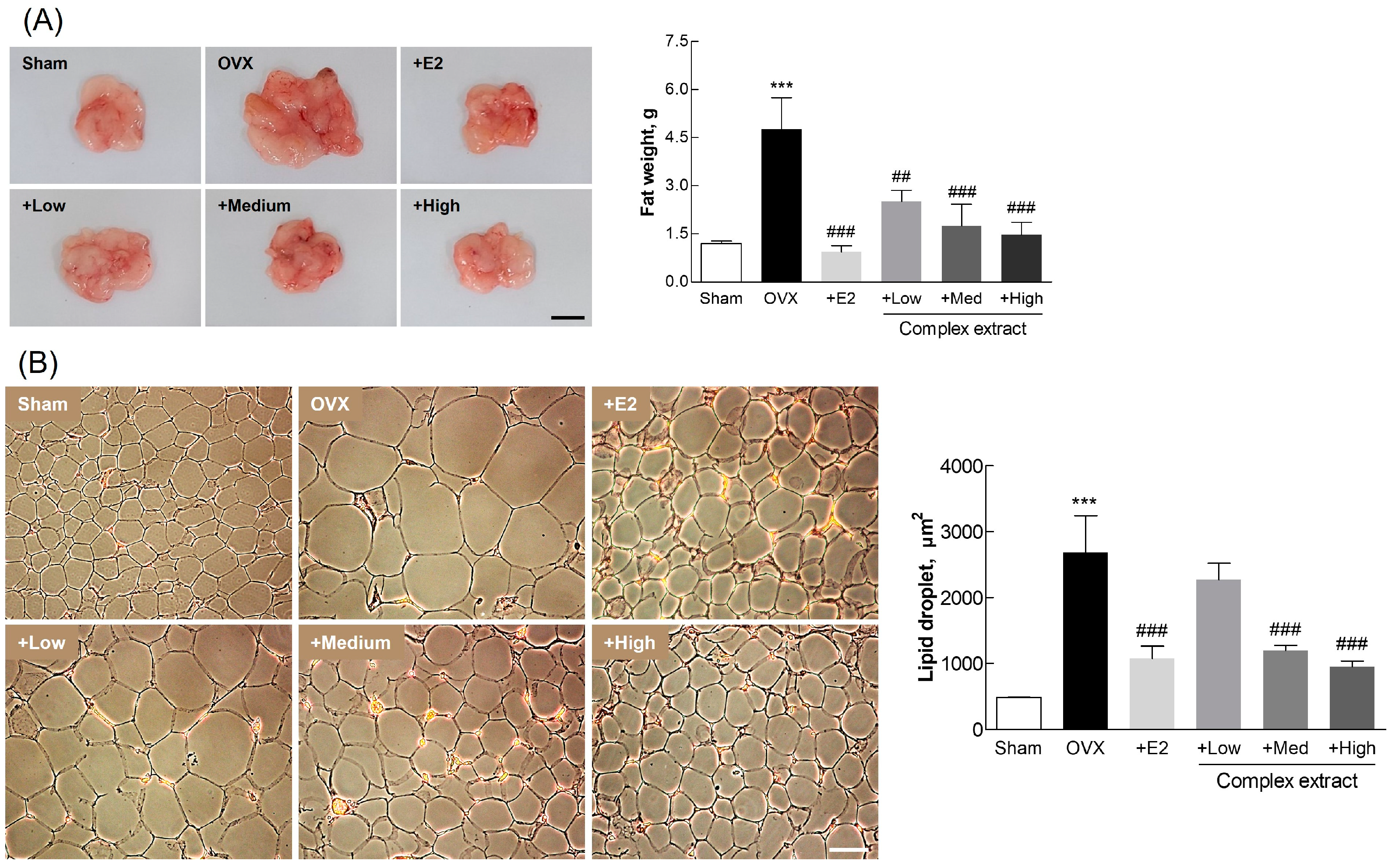 Nutrients 16 03297 g007