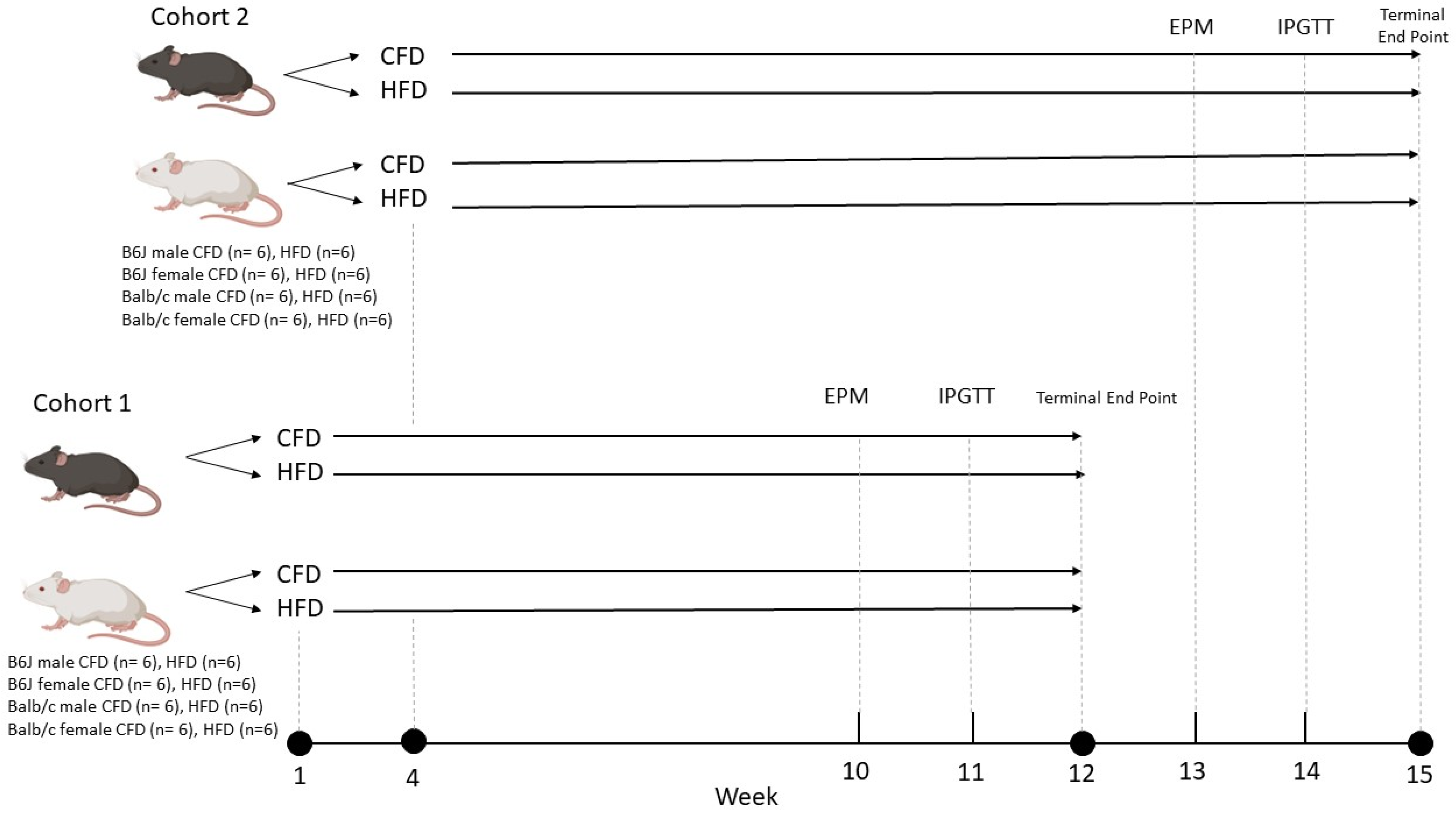 Nutrients 16 03301 g001 Nutrients 16 03301 g001