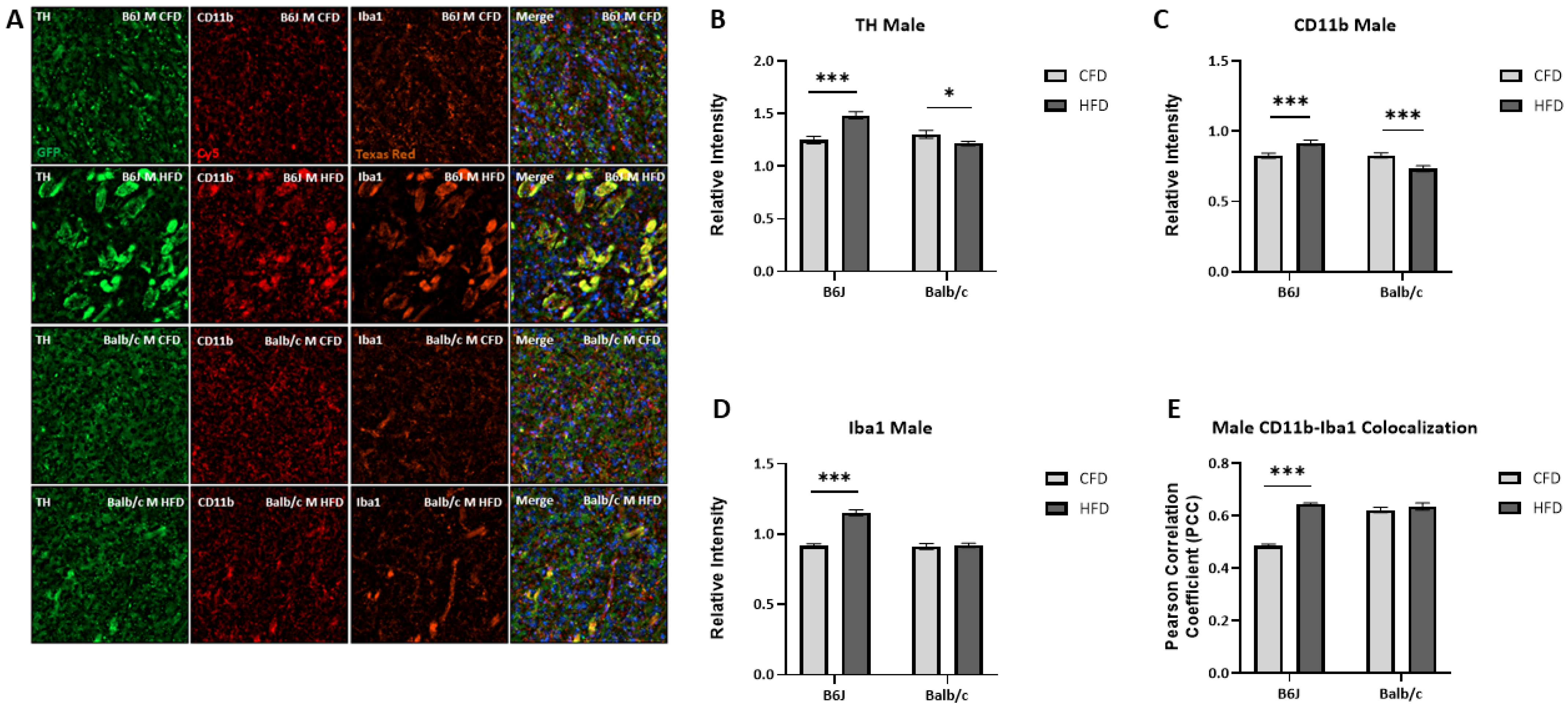 Nutrients 16 03301 g006 Nutrients 16 03301 g006