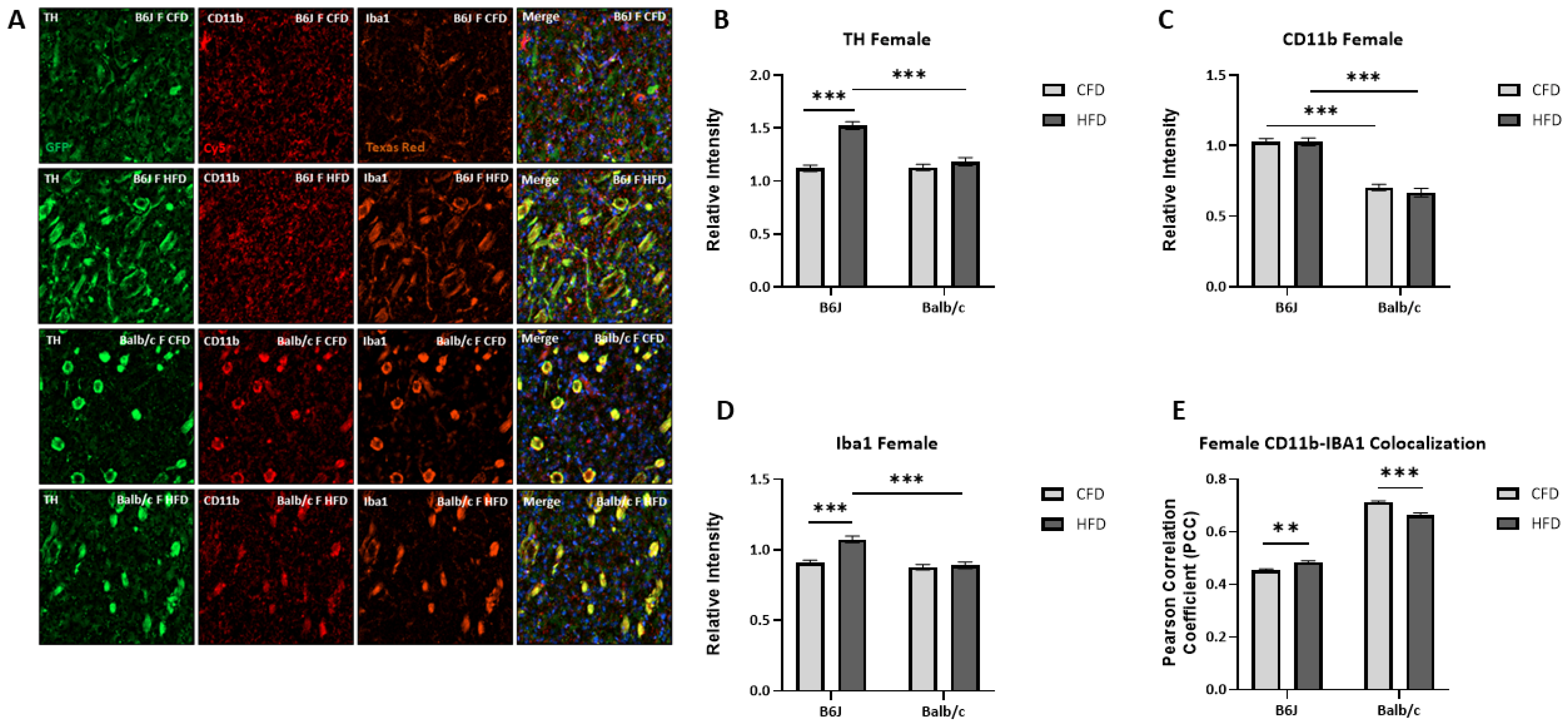 Nutrients 16 03301 g007 Nutrients 16 03301 g007