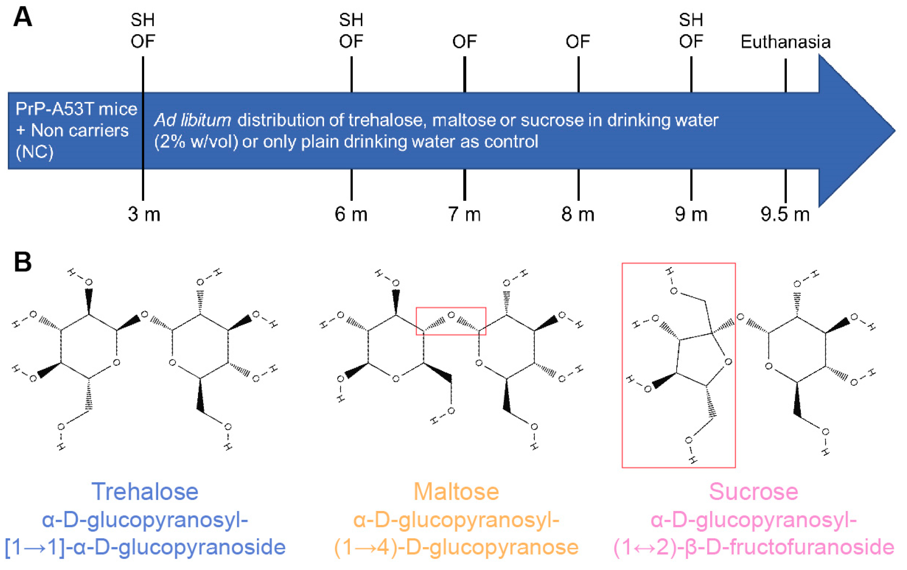 Nutrients 16 03309 g001