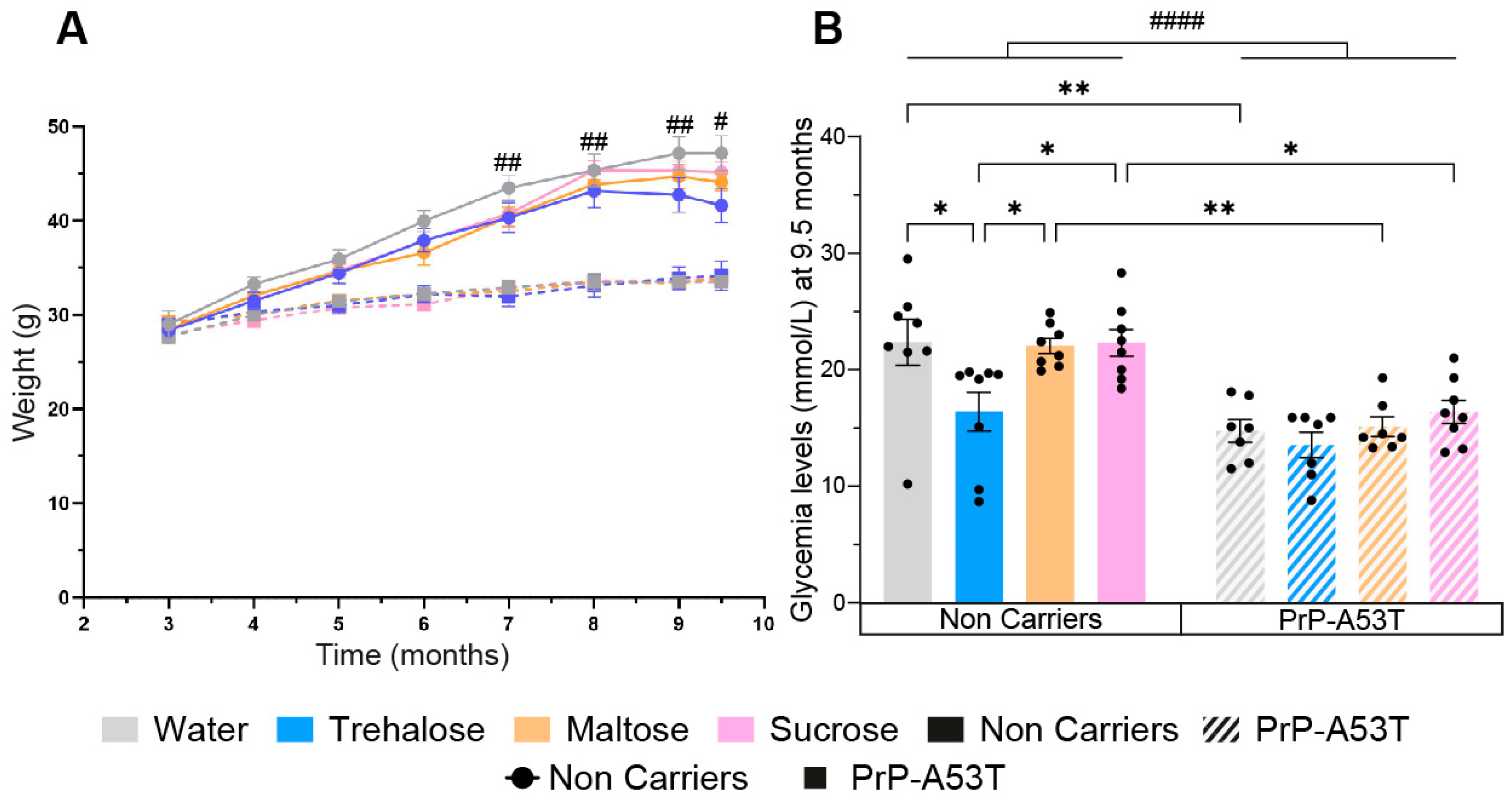 Nutrients 16 03309 g002