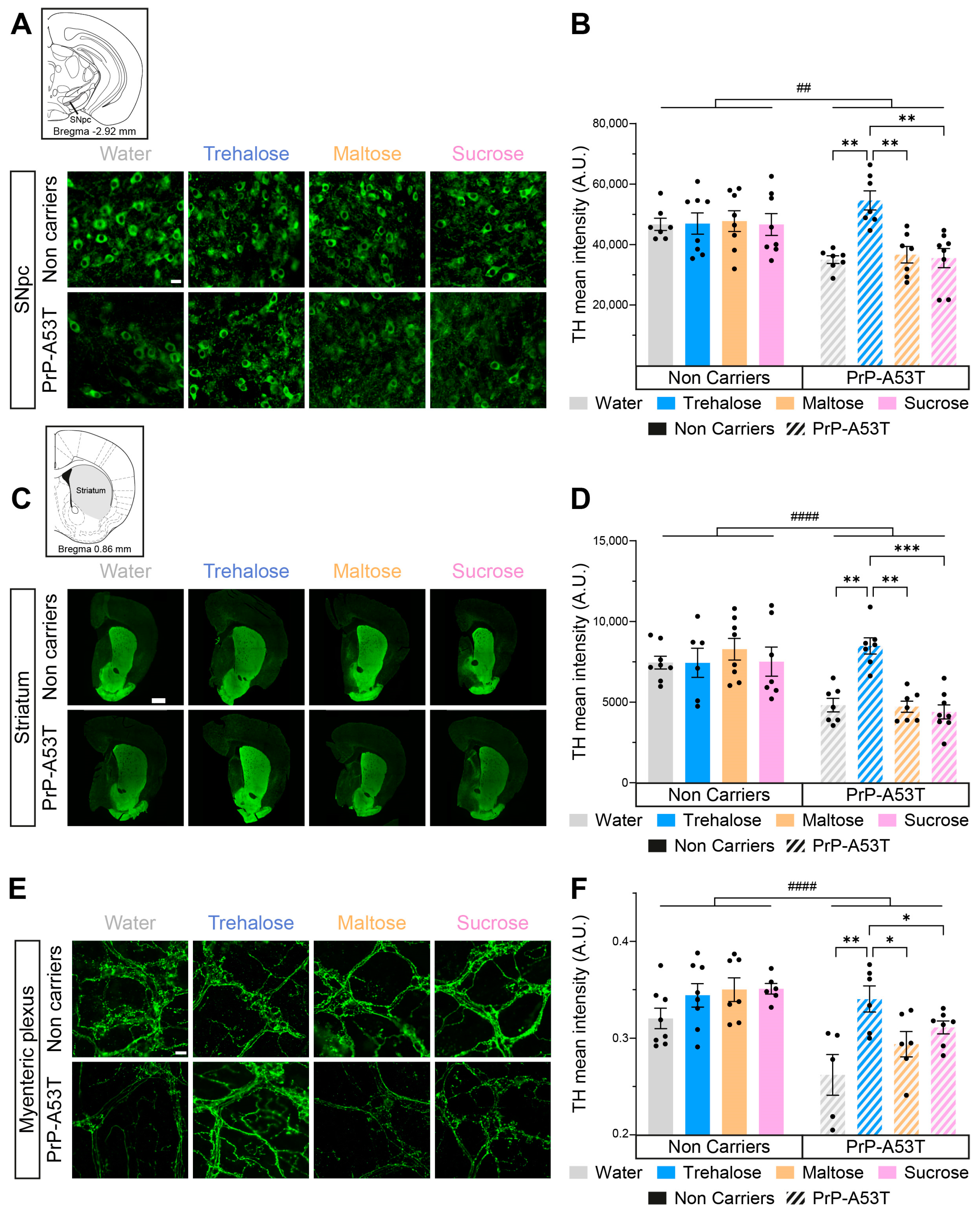 Nutrients 16 03309 g007