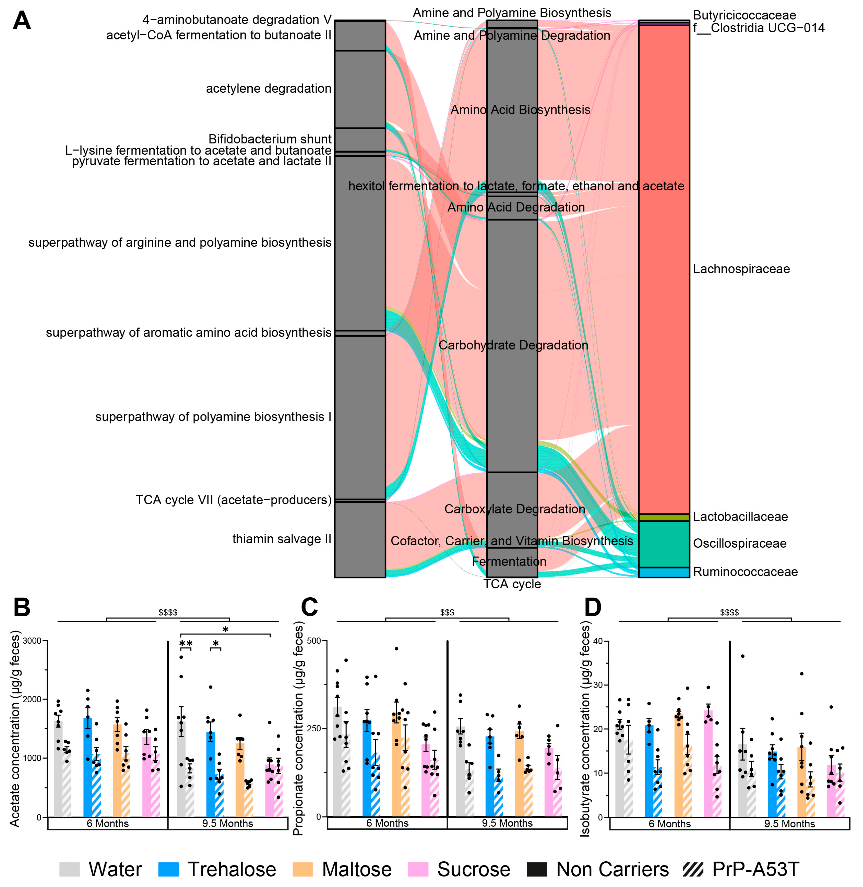 Nutrients 16 03309 g010