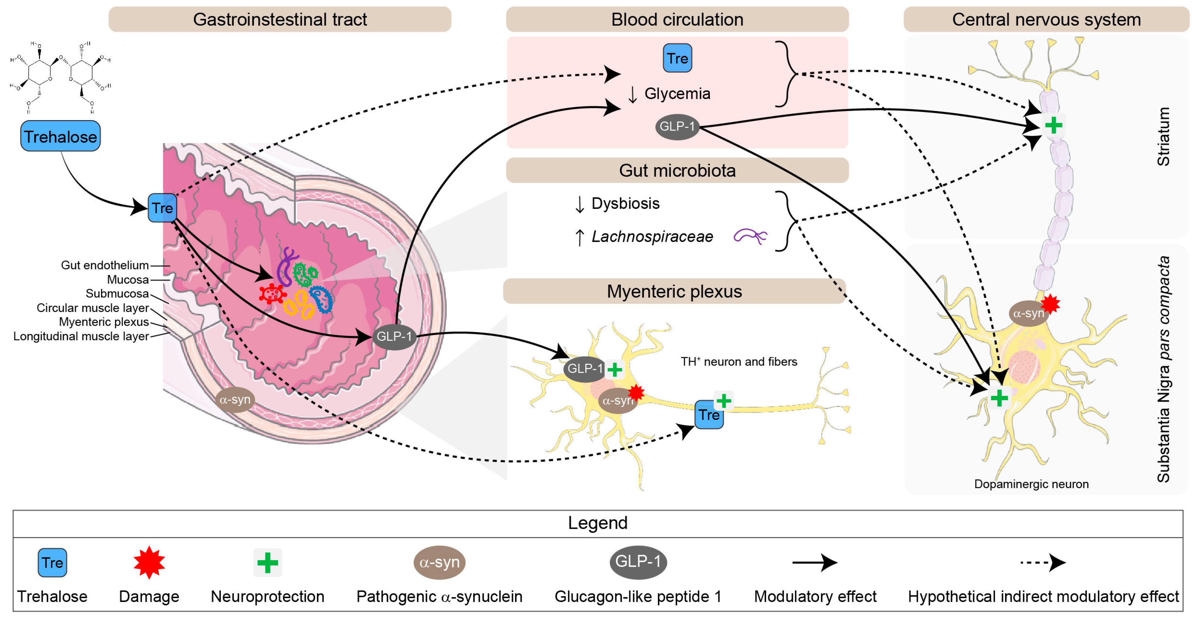 Nutrients 16 03309 g012