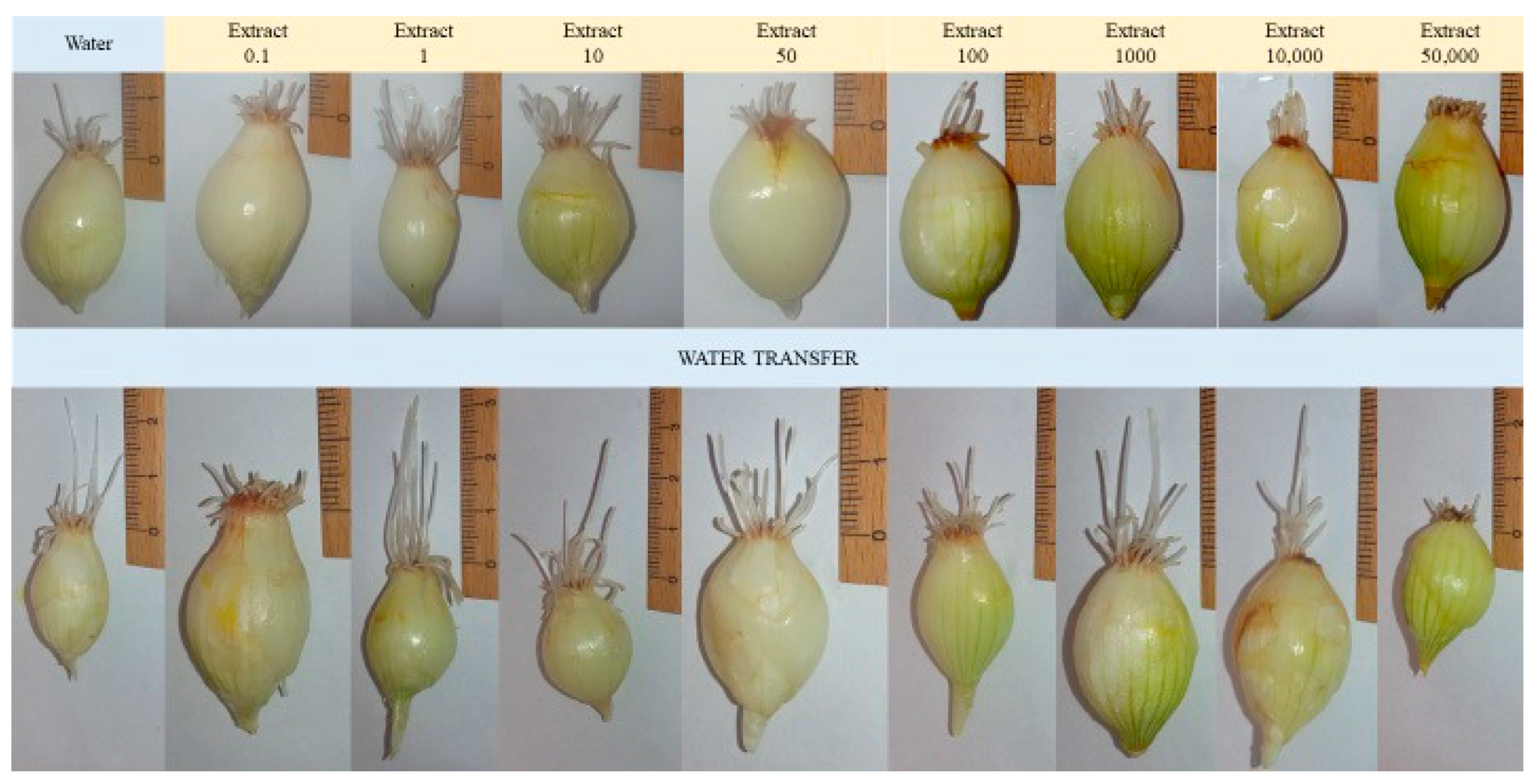 Nutrients 16 03316 g007