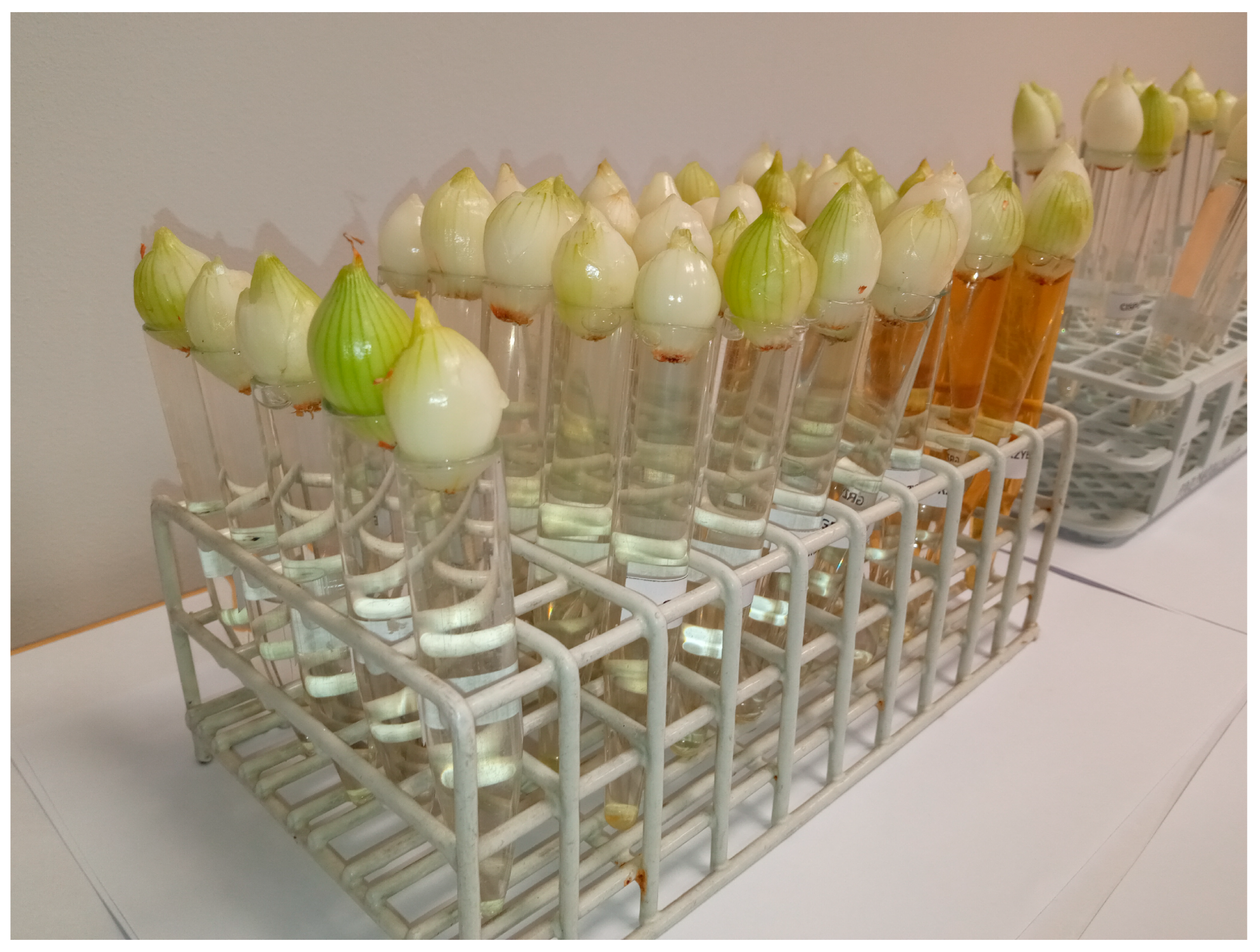 Nutrients 16 03316 g009